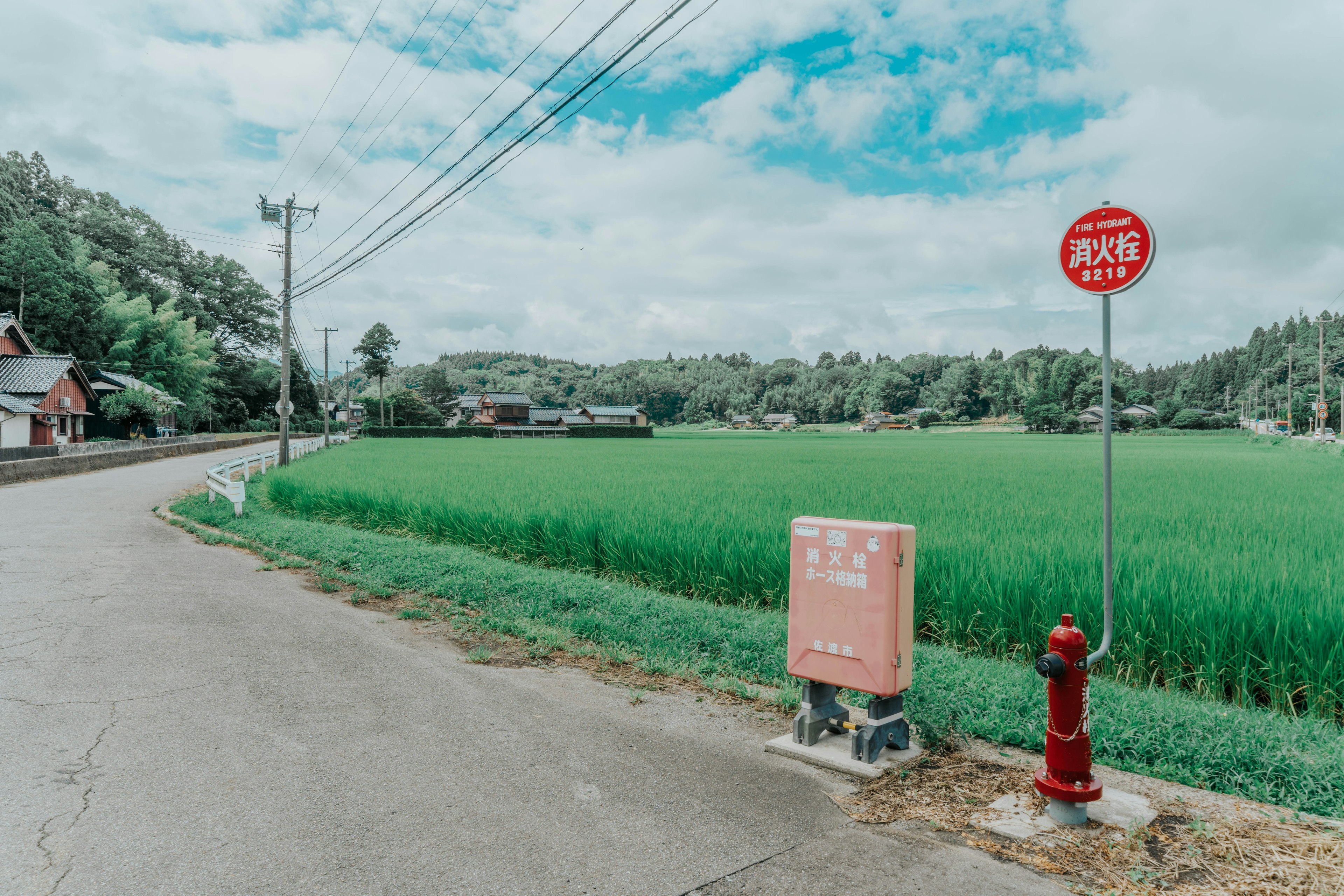 緑の稲田と赤い消火栓のある田舎の風景