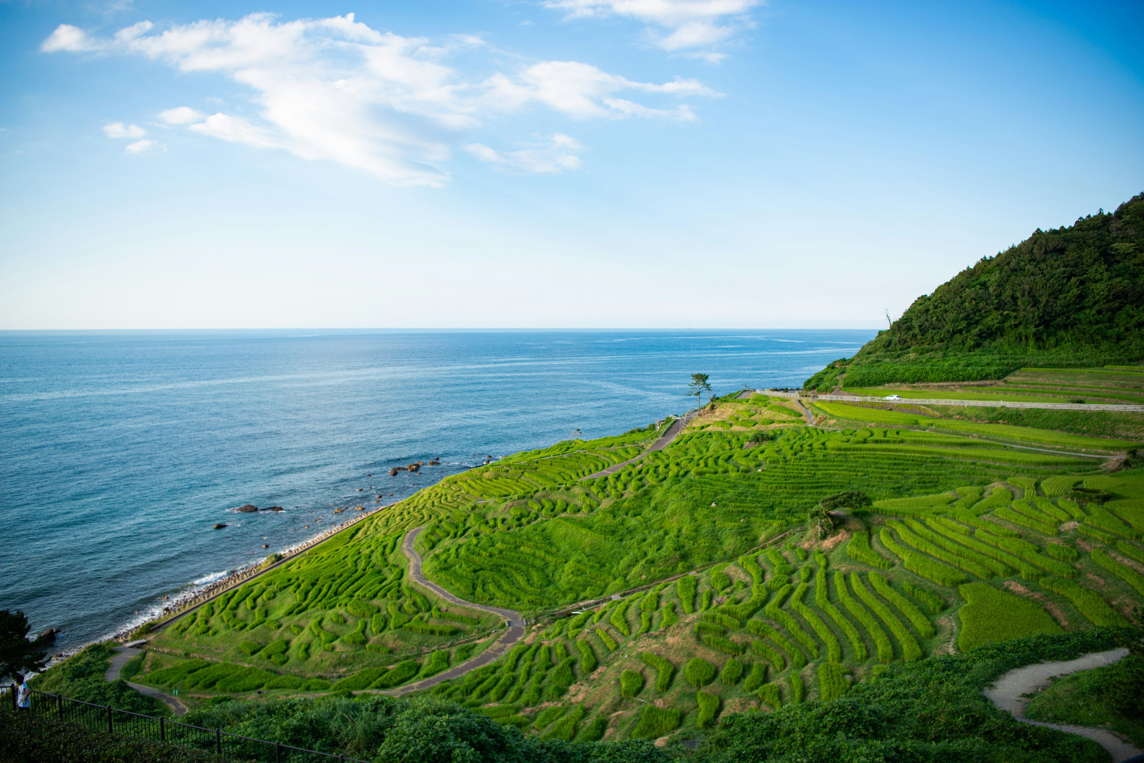 Ladang padi teras yang indah dengan lautan biru