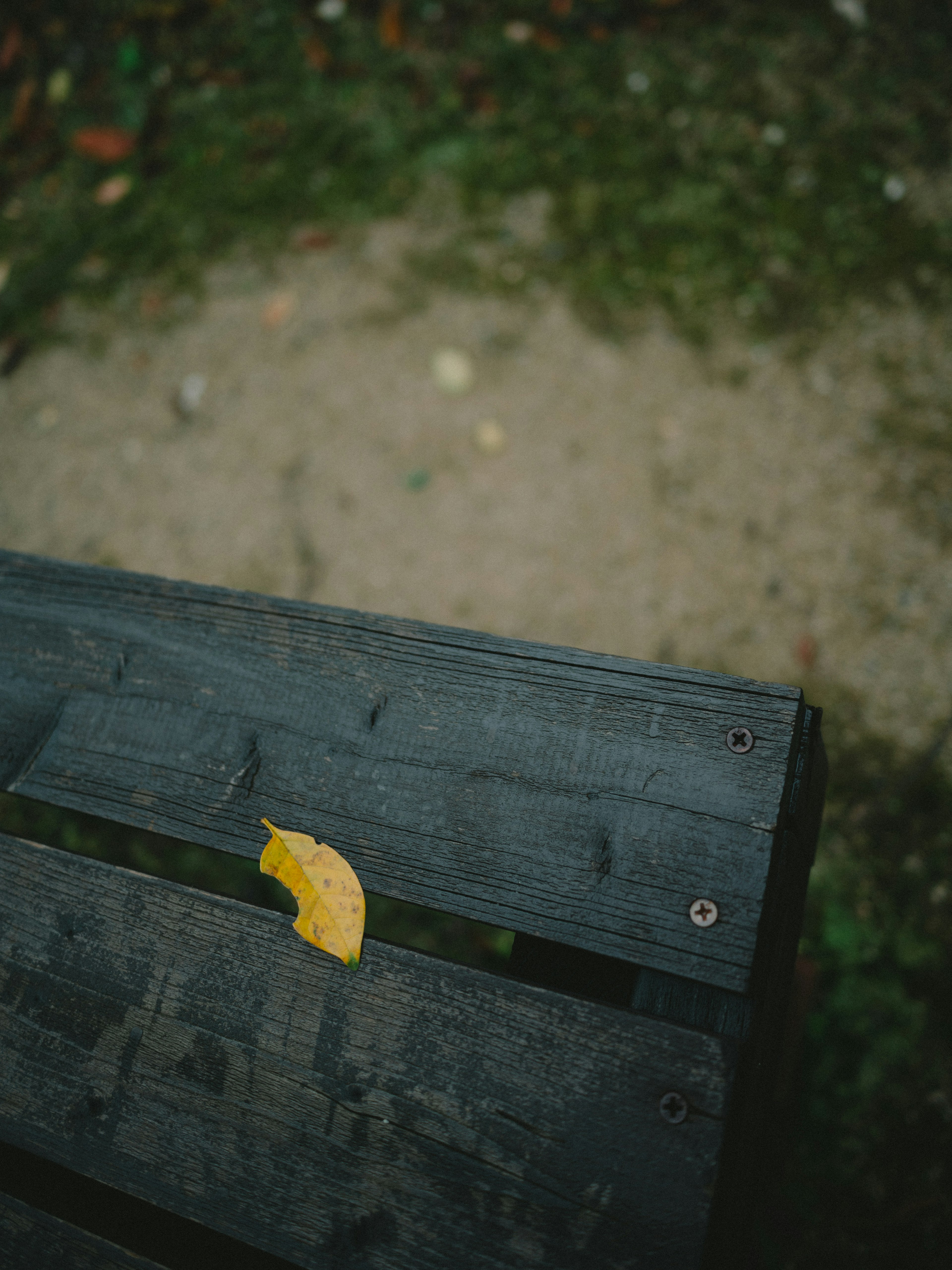 Hoja amarilla sobre una mesa de madera