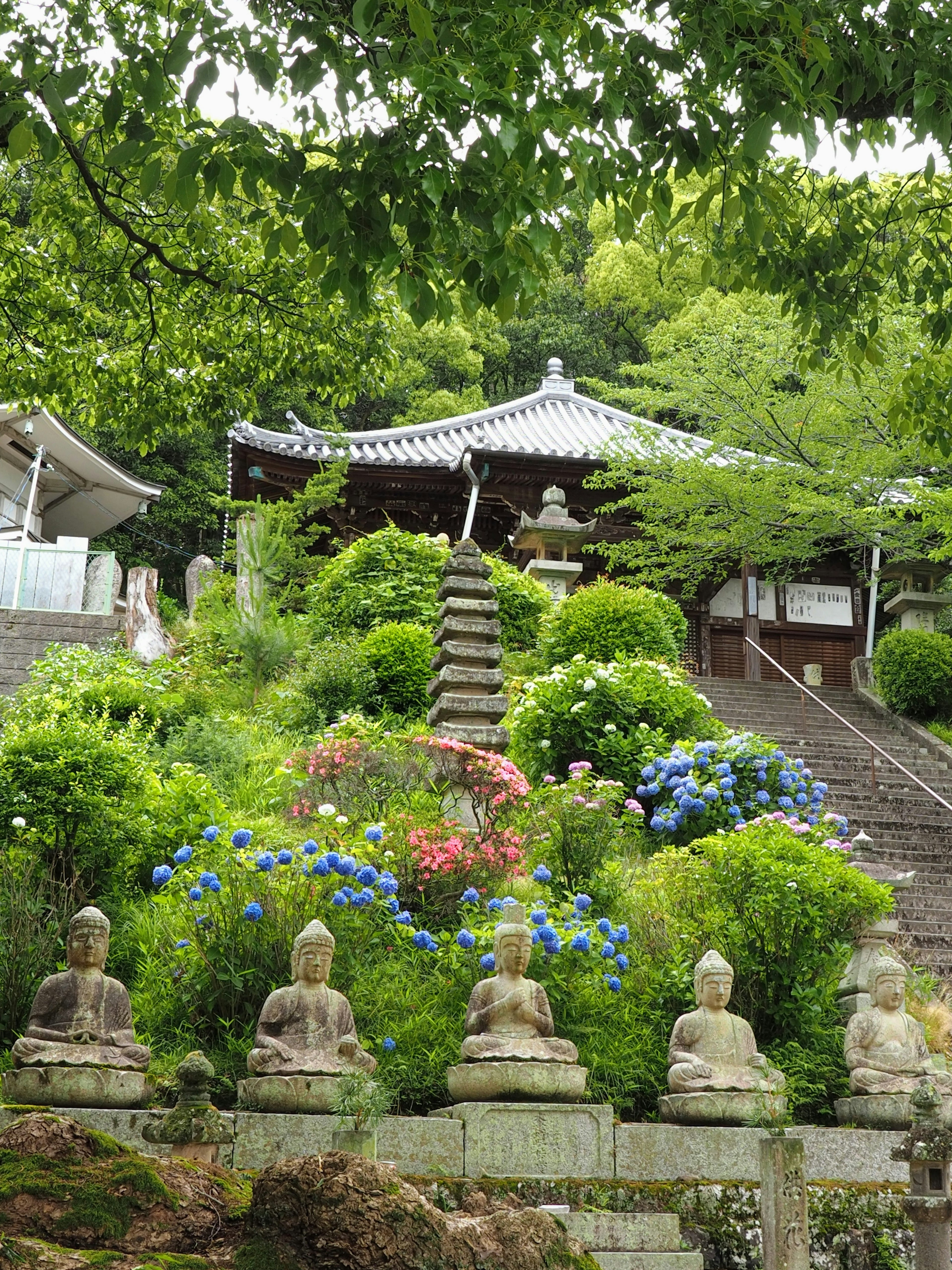 Vista panoramica di un tempio circondato da verde con statue di Buddha in pietra e fiori colorati