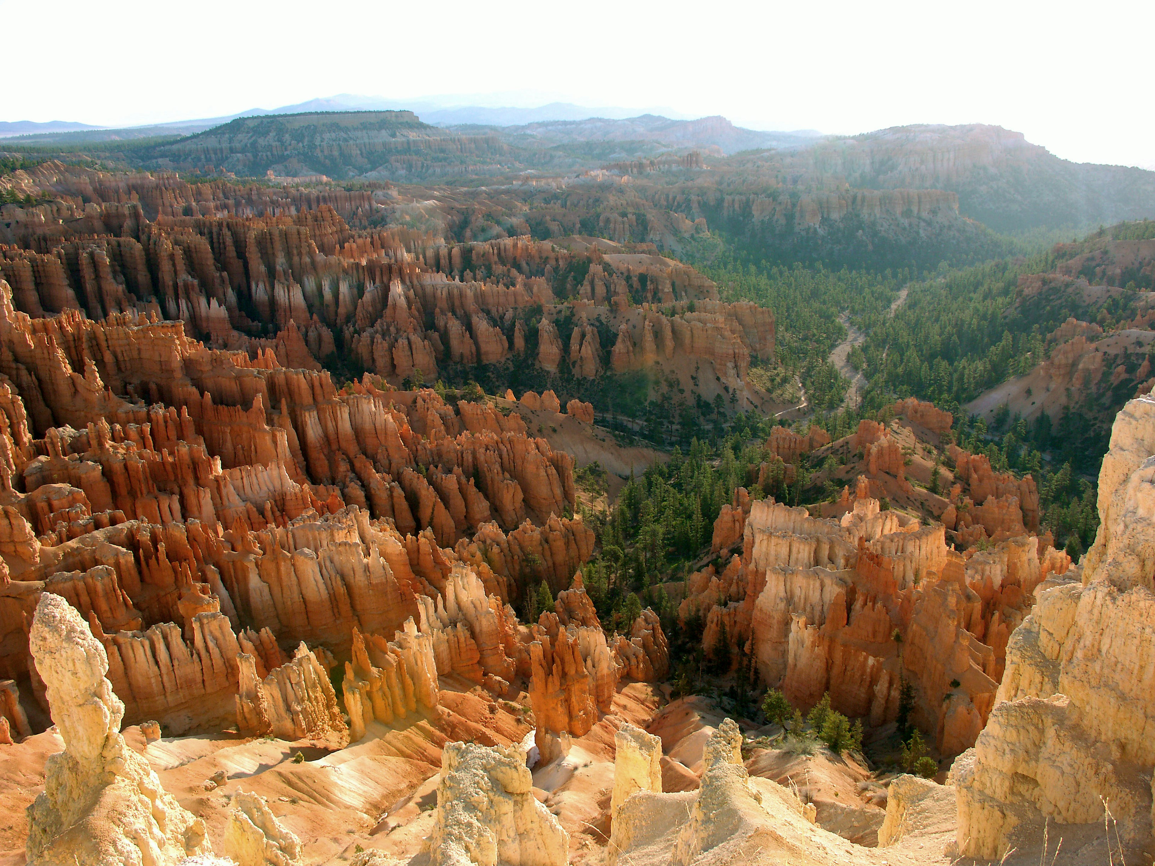 Atemberaubende Landschaft des Bryce Canyon mit roten Felsformationen