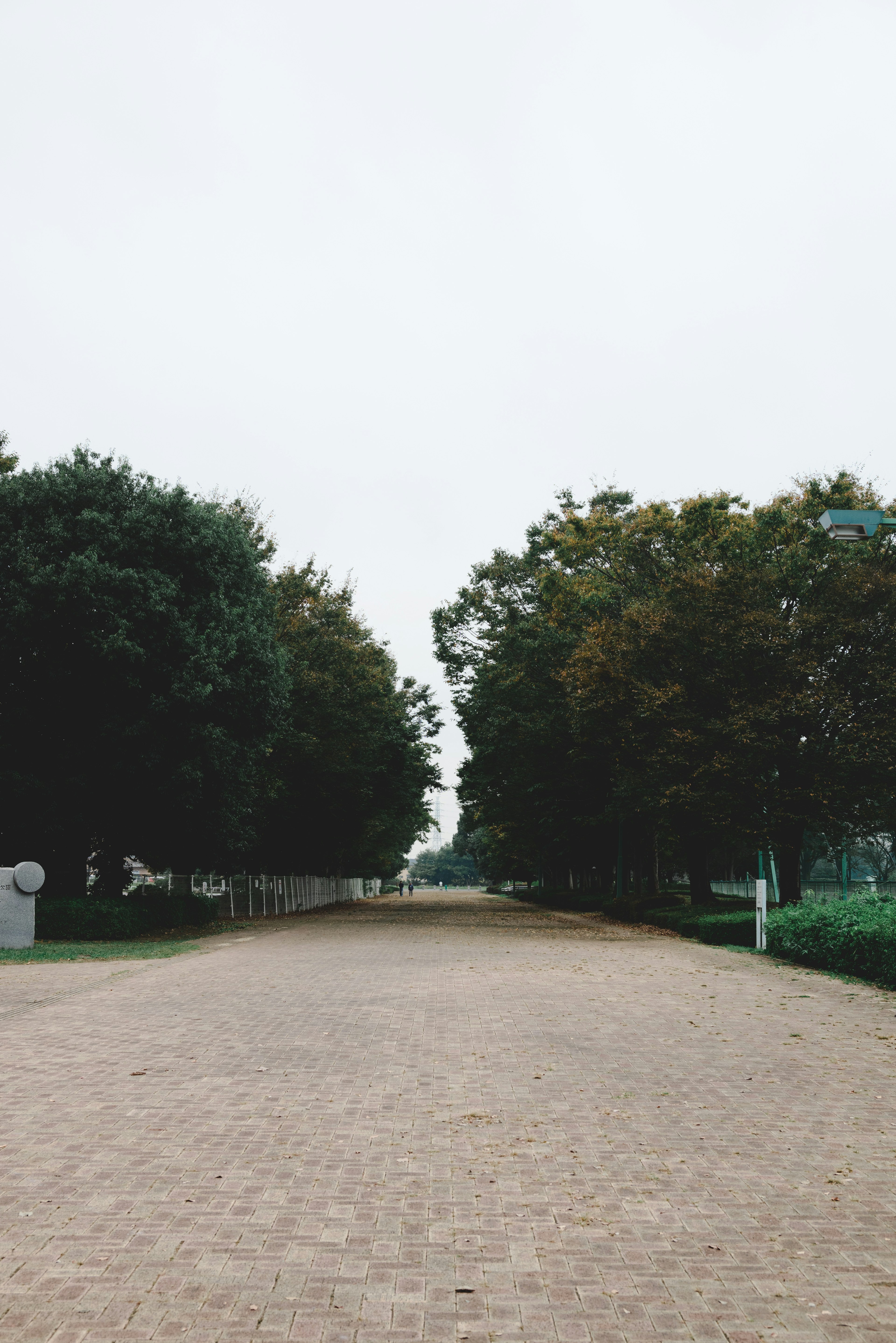 一條安靜的鋪砌道路，兩側種滿綠色樹木