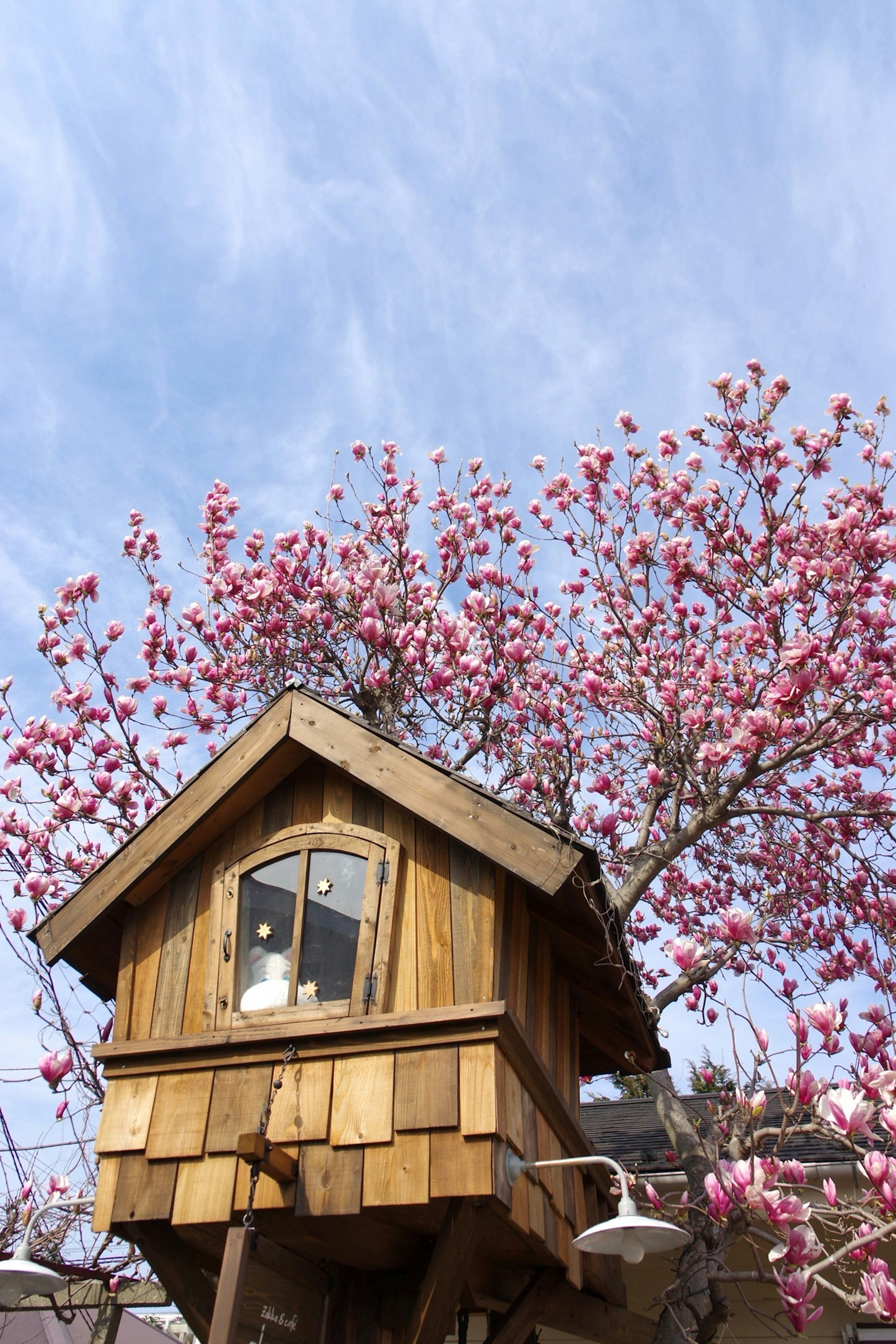 Casa sull'albero in legno circondata da fiori rosa in fiore