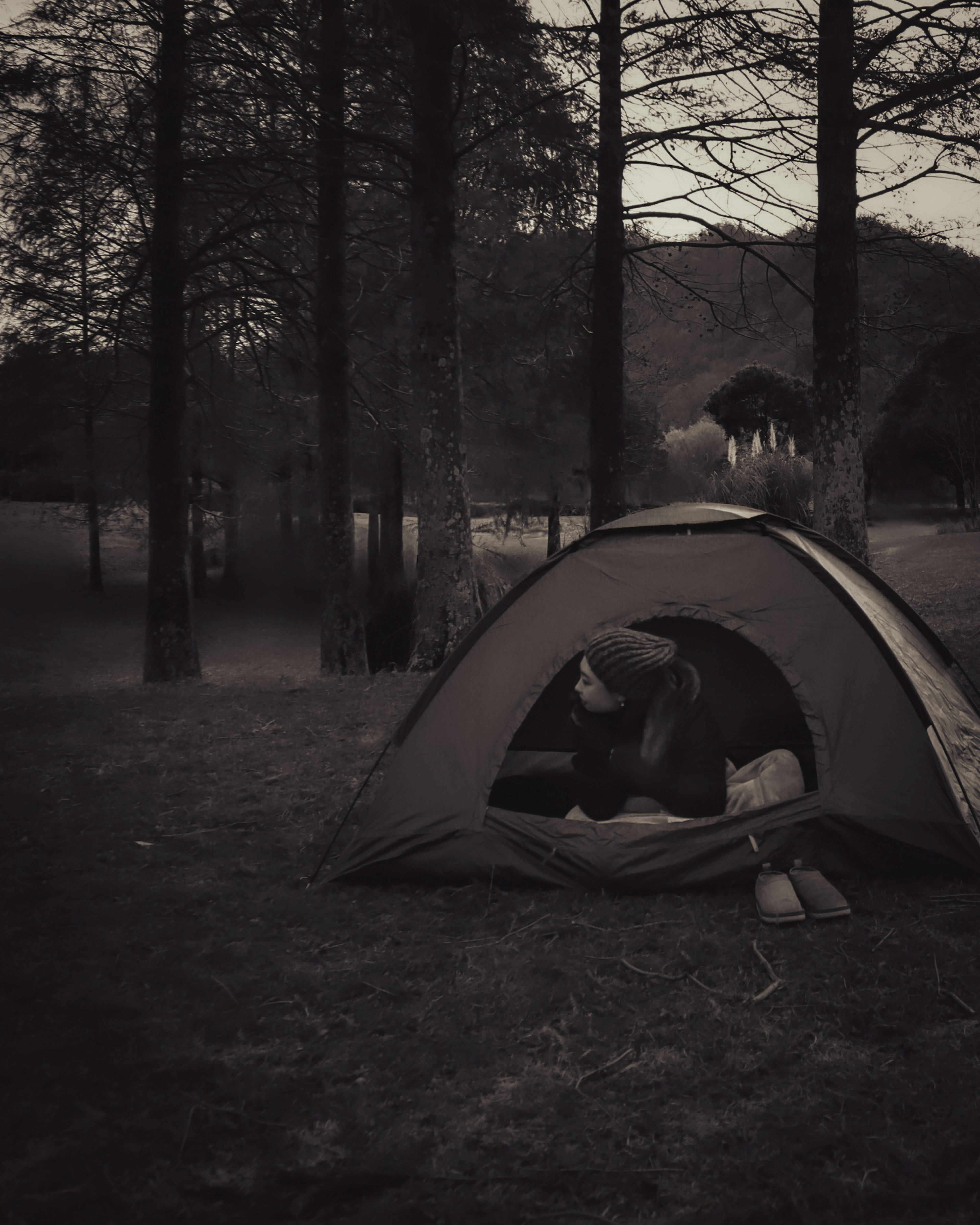 Person working inside a tent surrounded by trees in a natural setting black and white photo