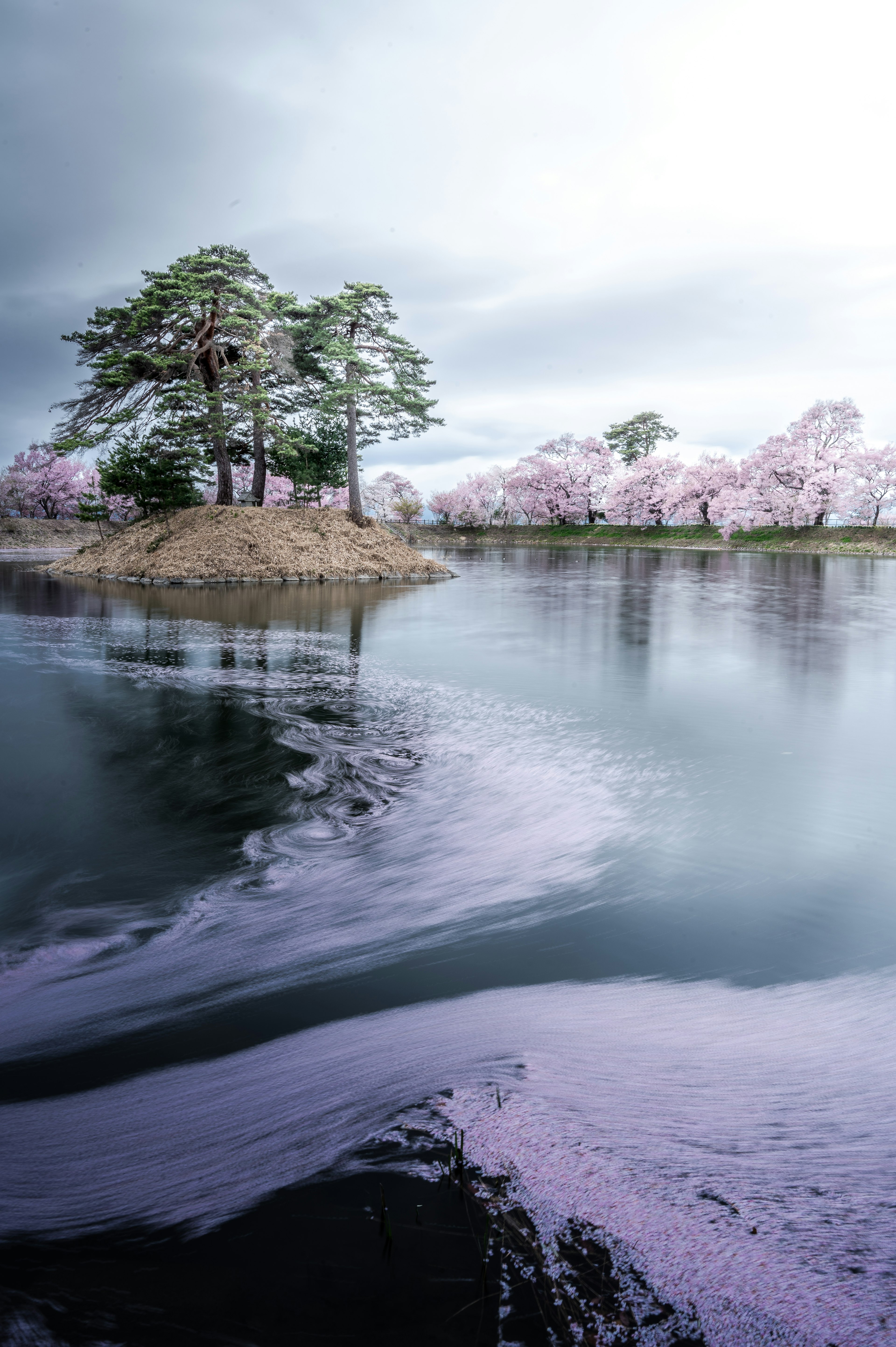 静かな湖に浮かぶ島と桜の木々が見える風景