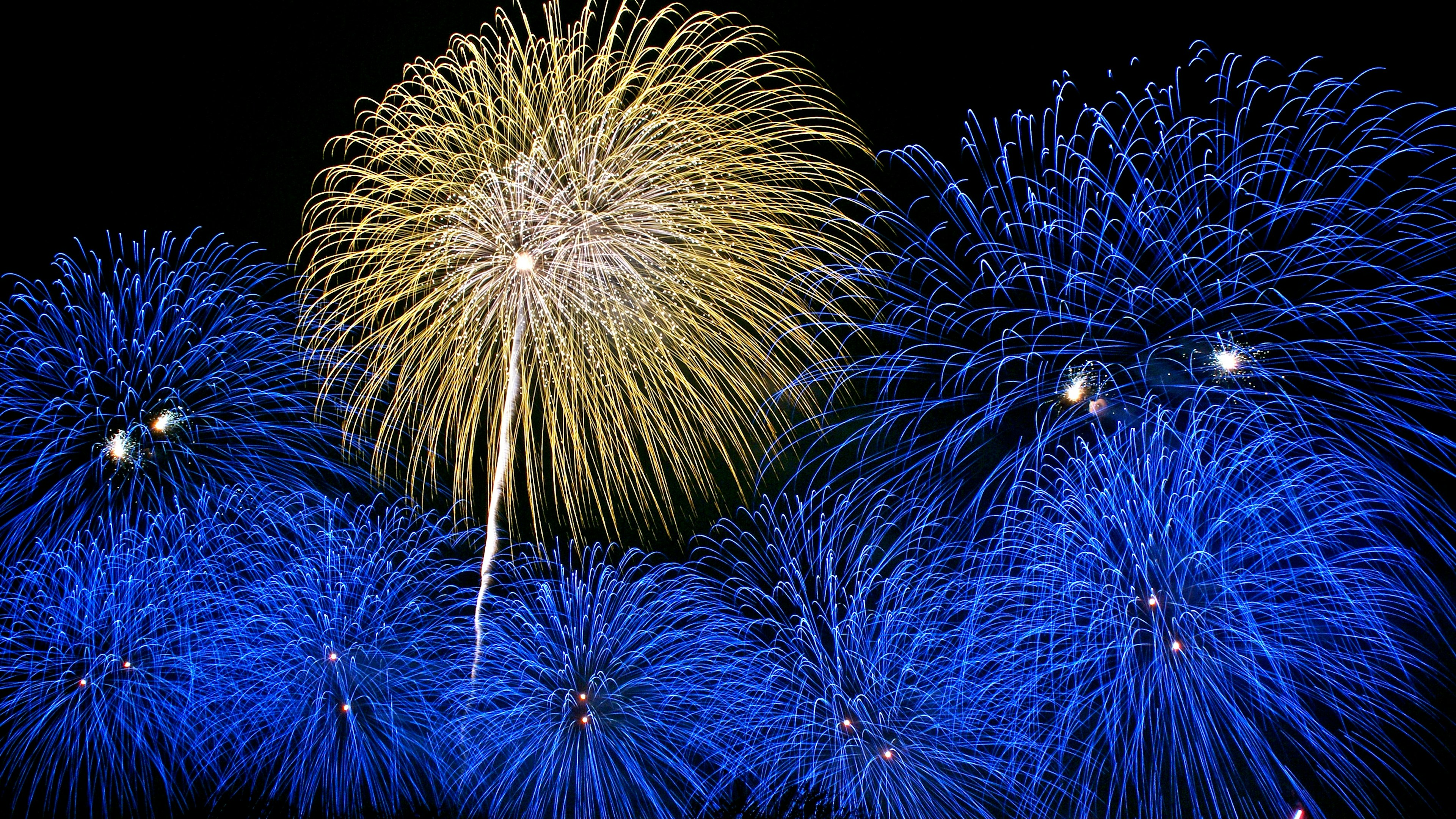 青い花火と金色の花火が夜空に咲く美しいシーン