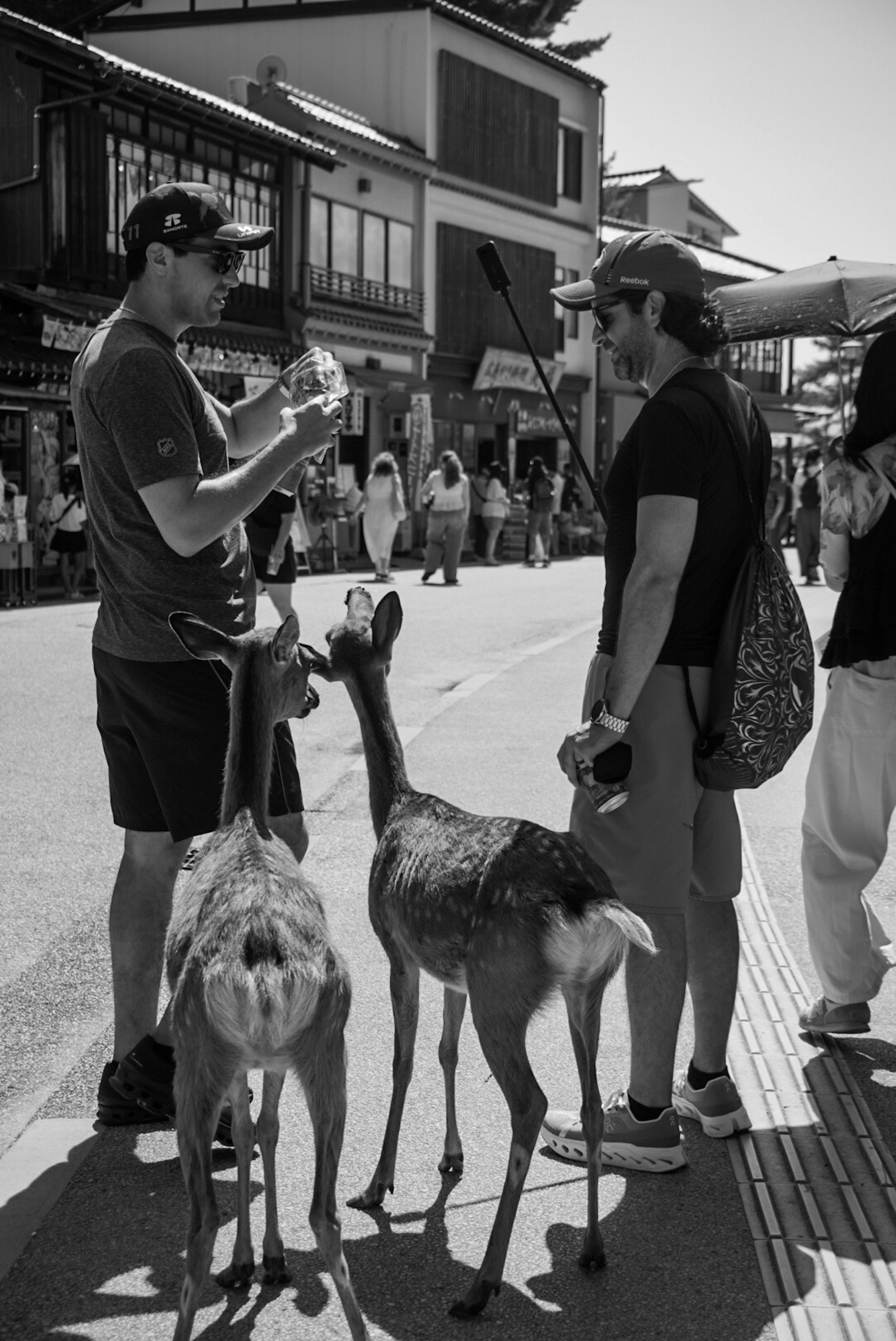 Two deer standing near two men on a busy street