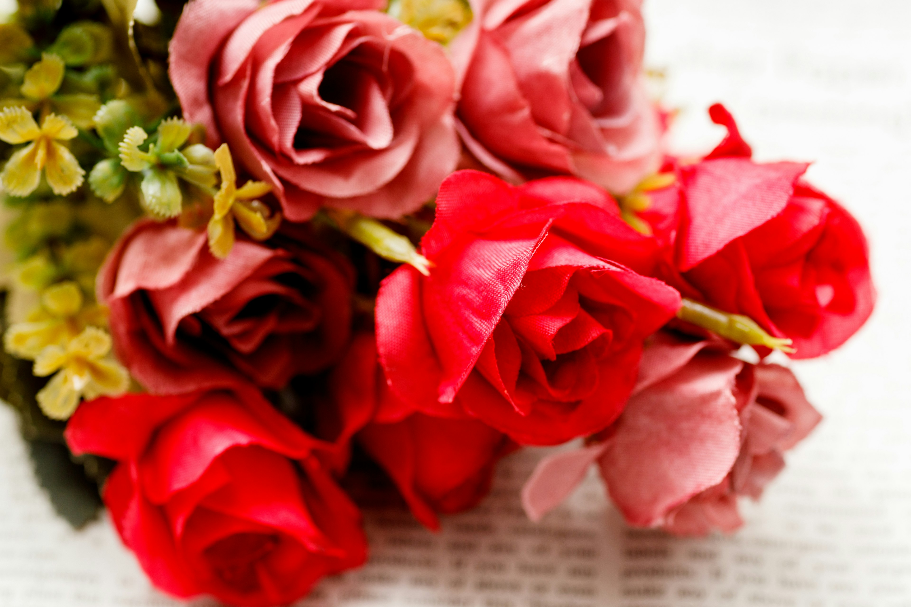 Bellissimo bouquet di rose rosse e rosa con foglie verdi