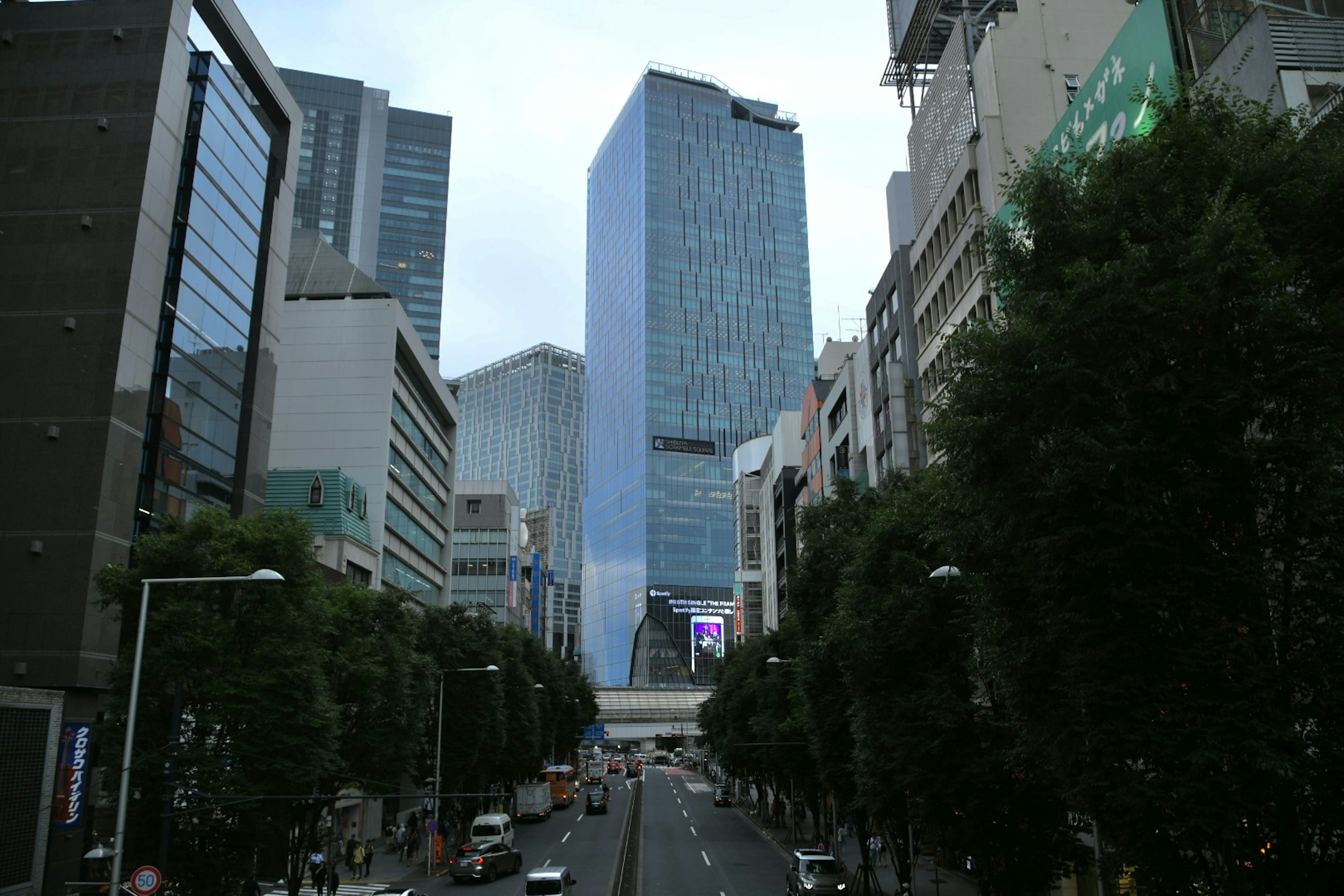 城市風景，包含摩天大樓和街道樹木