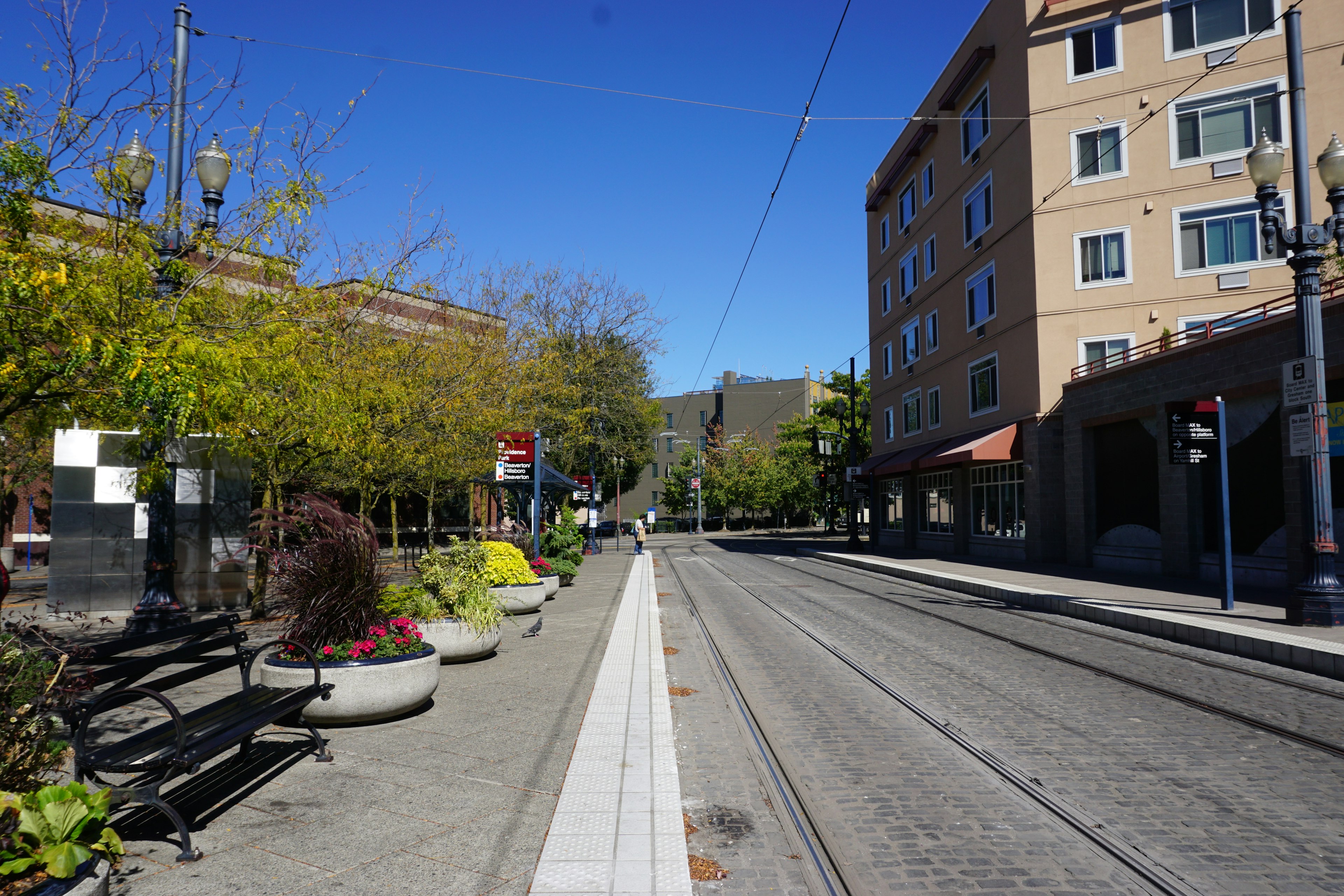 Quiet street scene featuring benches and greenery along the sidewalk