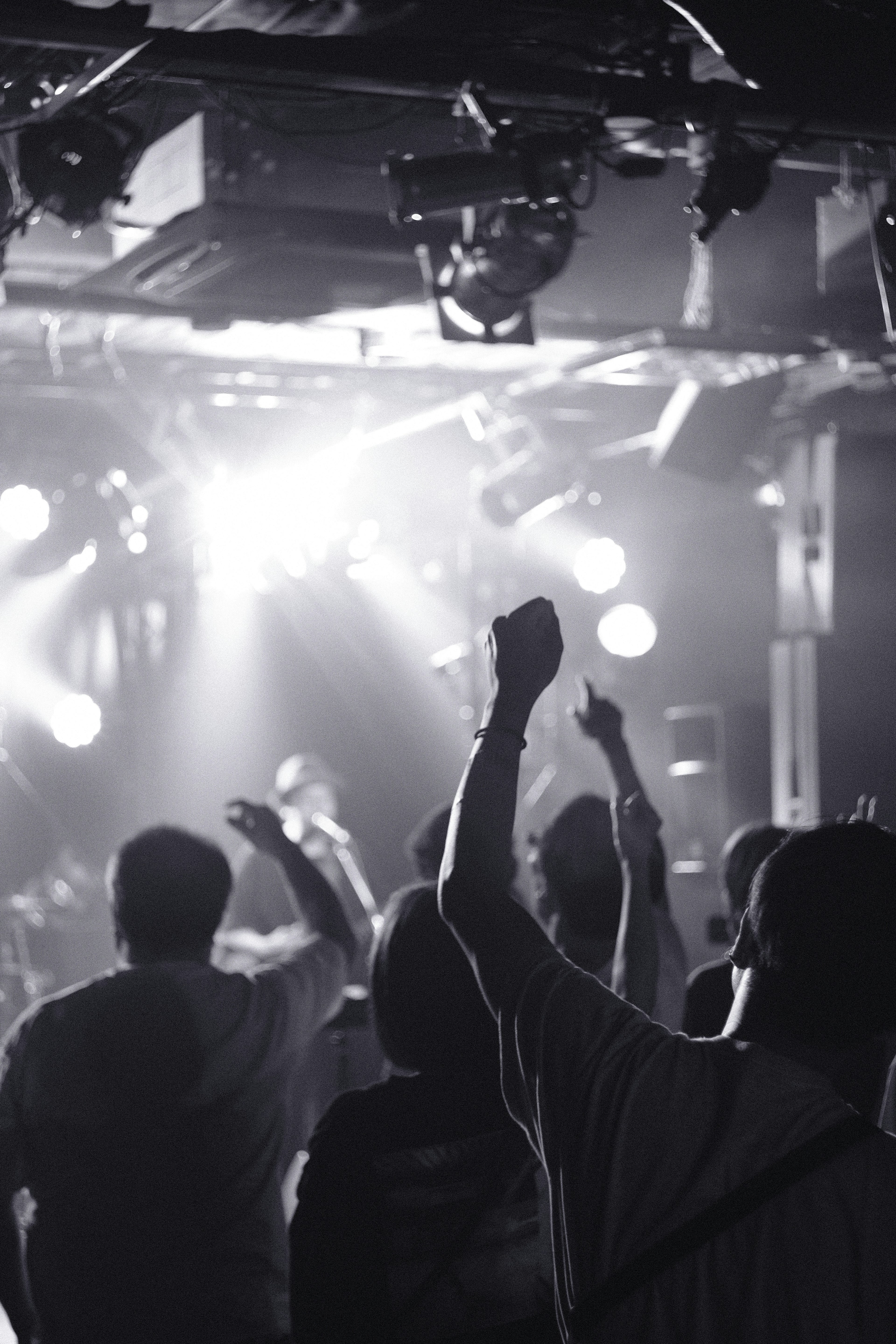 Silhouettes of an enthusiastic audience at a concert with dramatic lighting