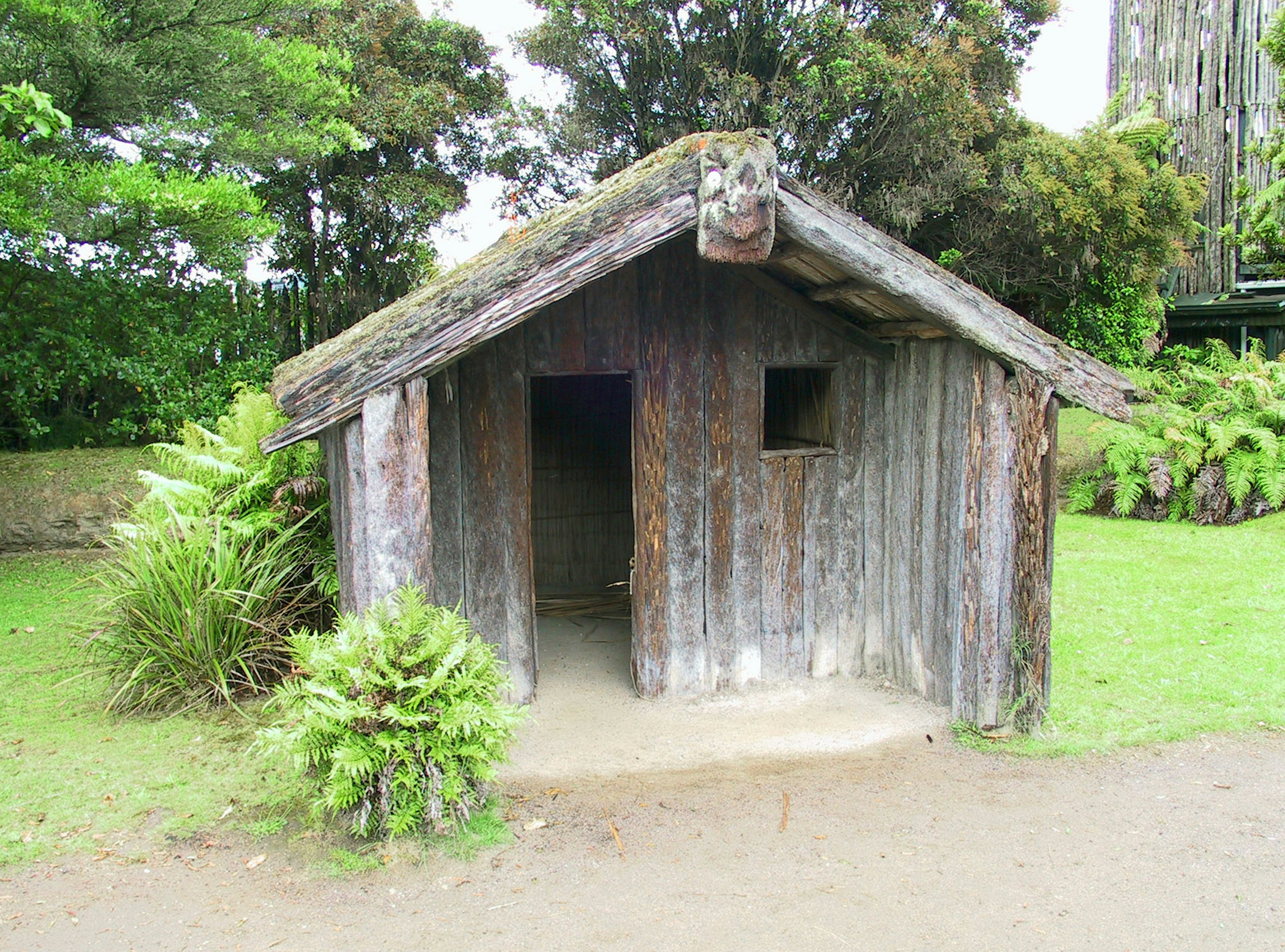 Cabaña de madera rodeada de vegetación exuberante