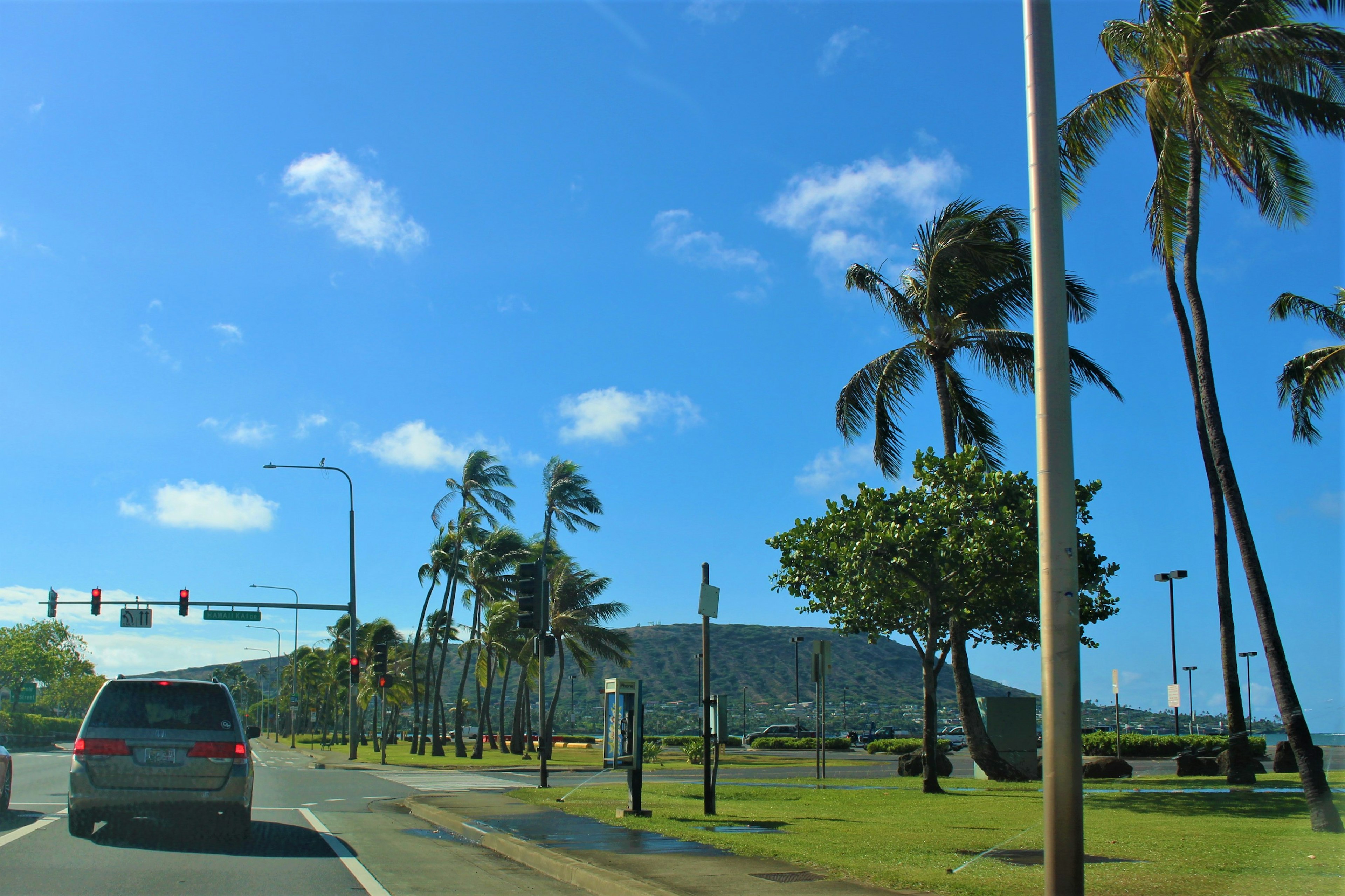 Vista de carretera con palmeras y cielo azul claro