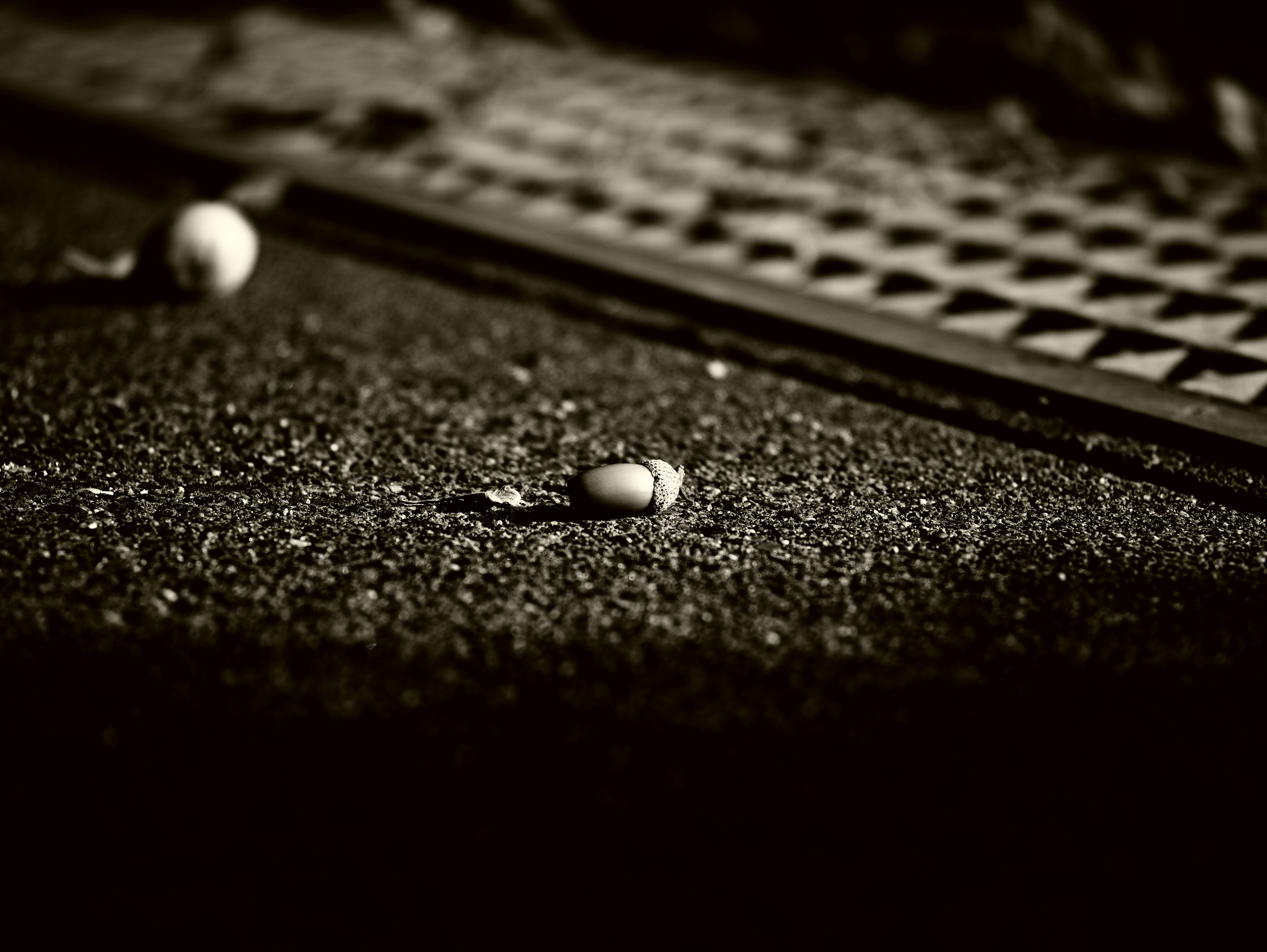 Close-up photo of an egg-like object on the ground