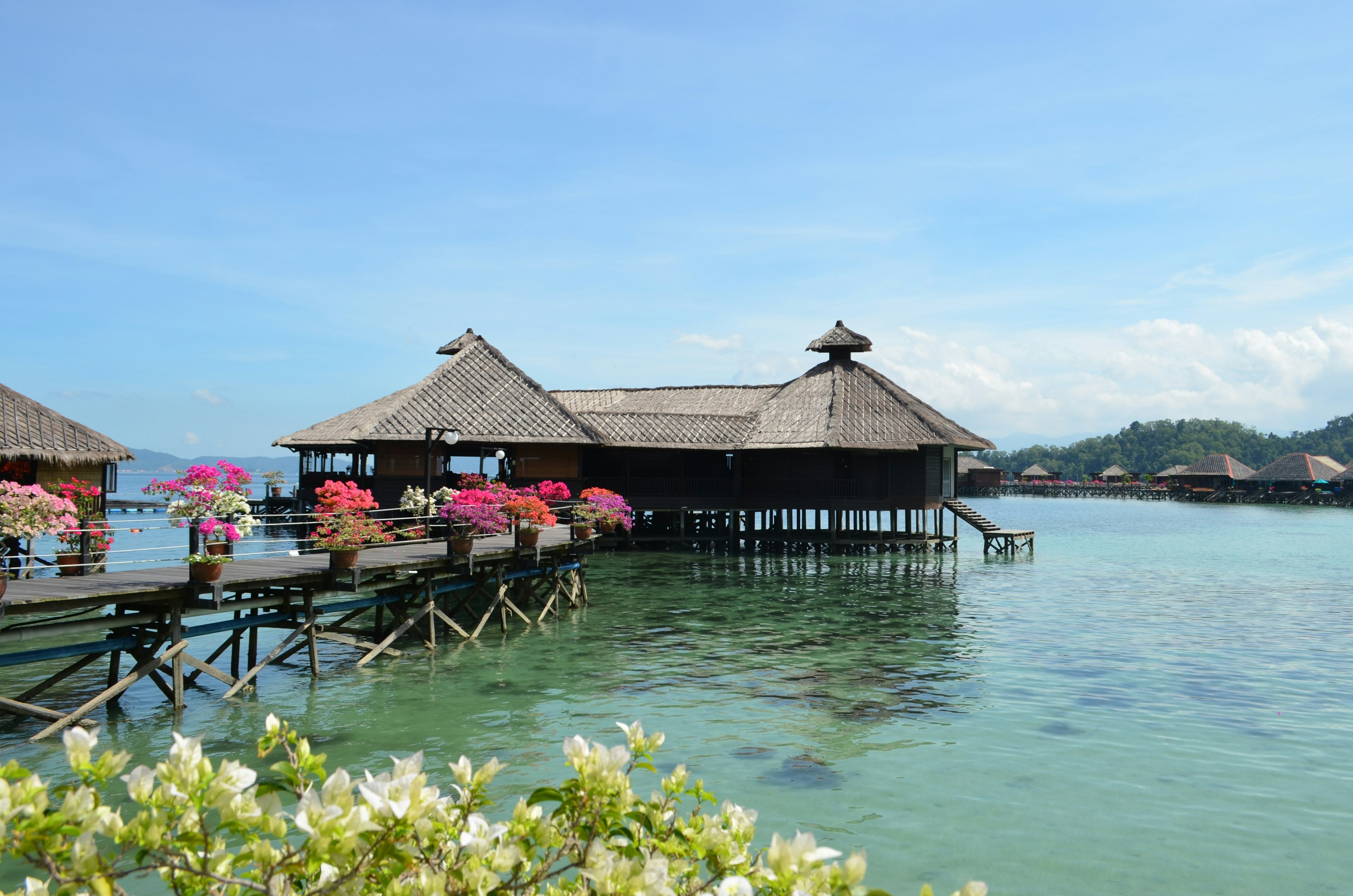 Holzresort-Haus über klarem Wasser mit bunten Blumen