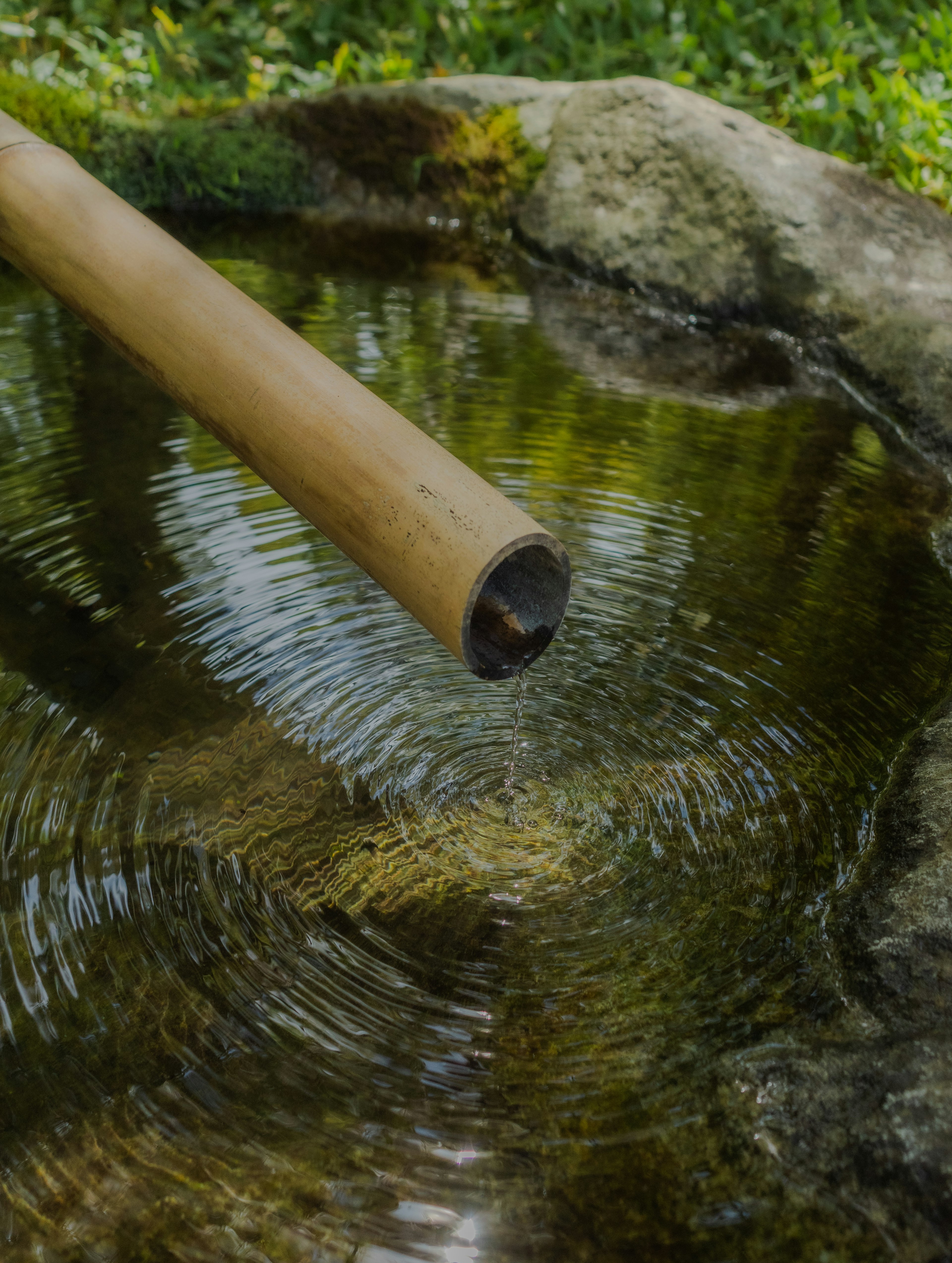 Gros plan d'une fontaine en bambou dans un étang de jardin