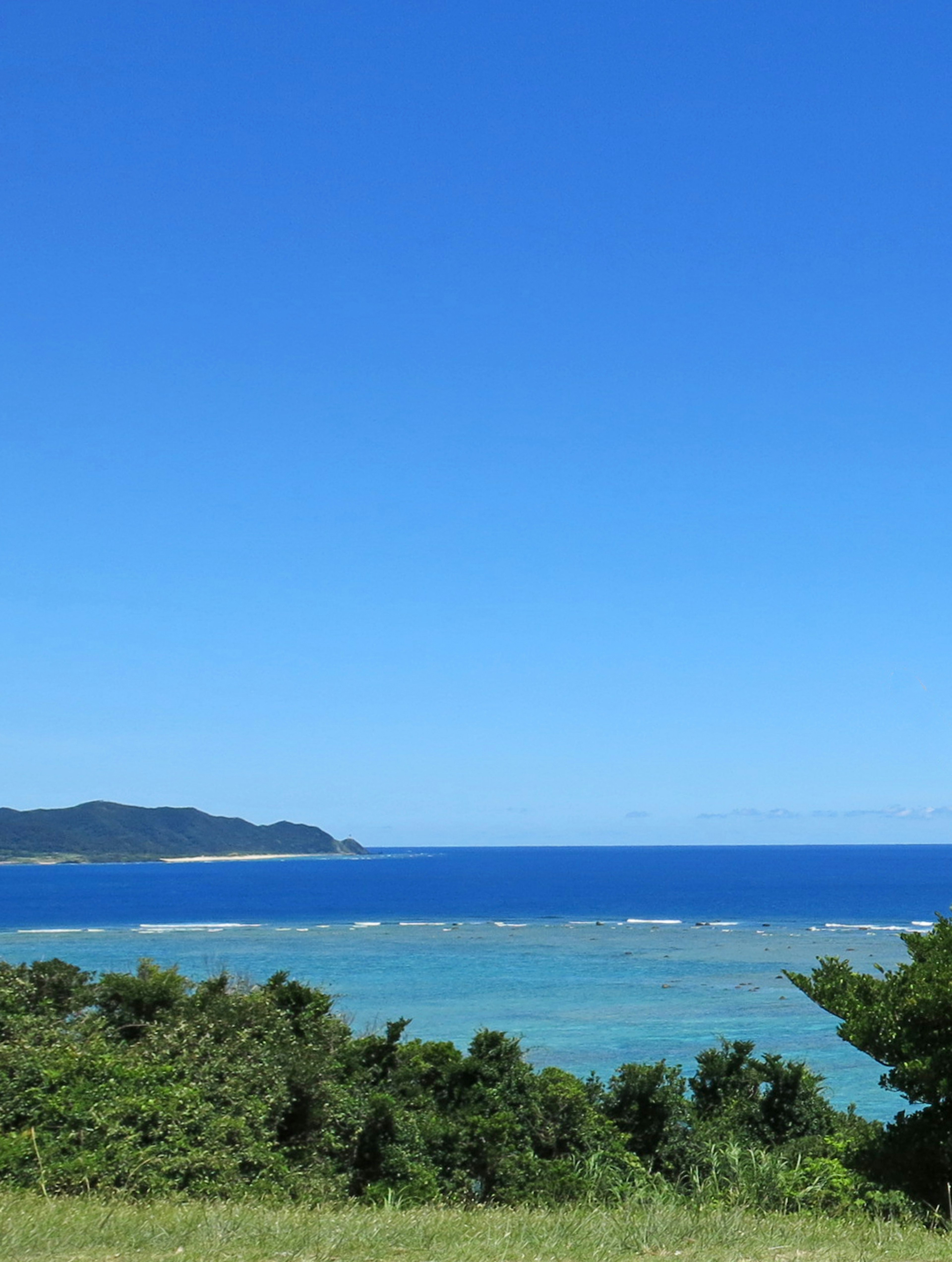 Pemandangan indah laut dan langit biru dengan tanaman hijau di latar depan