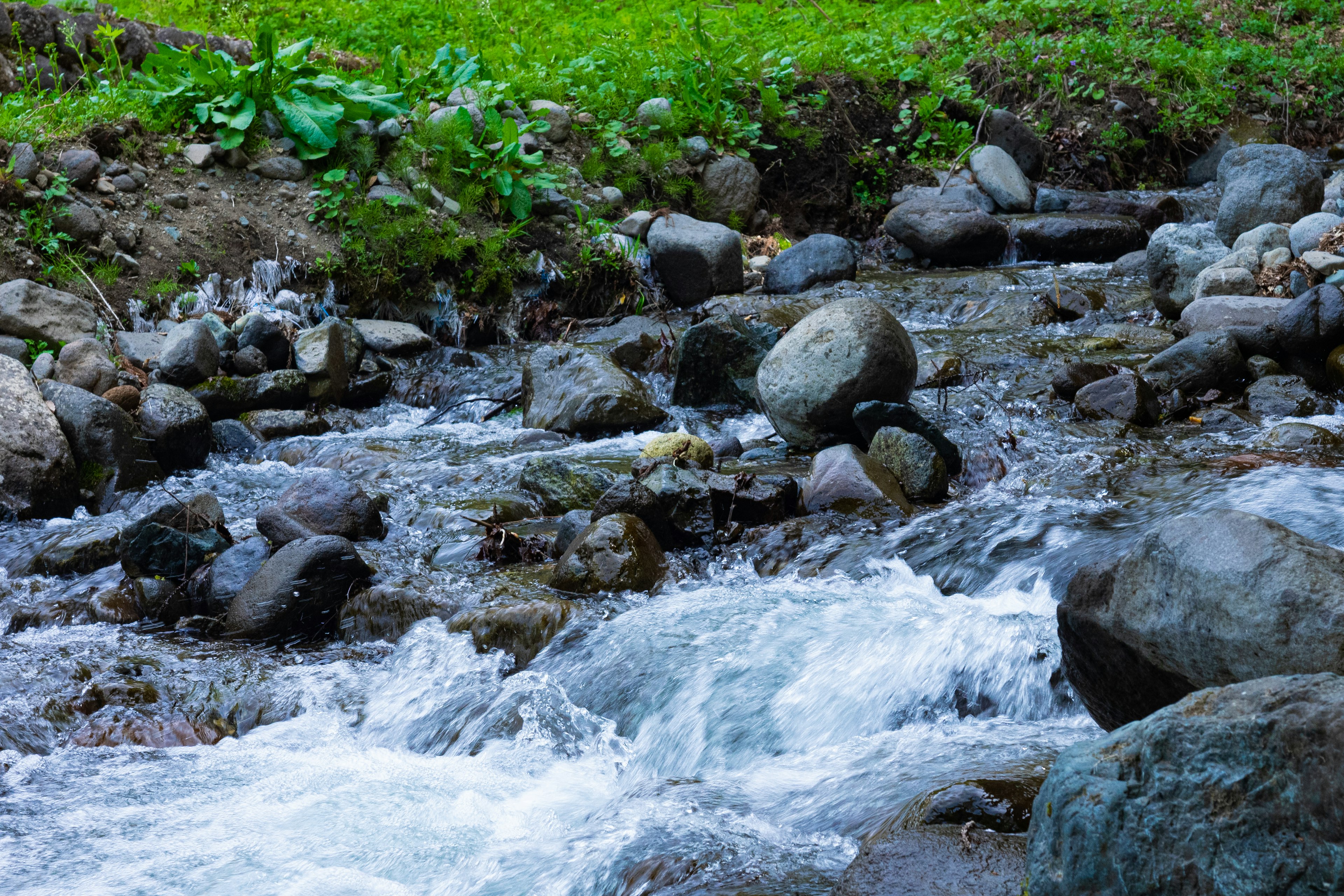 Ruisseau clair coulant entre des pierres dans un paysage verdoyant