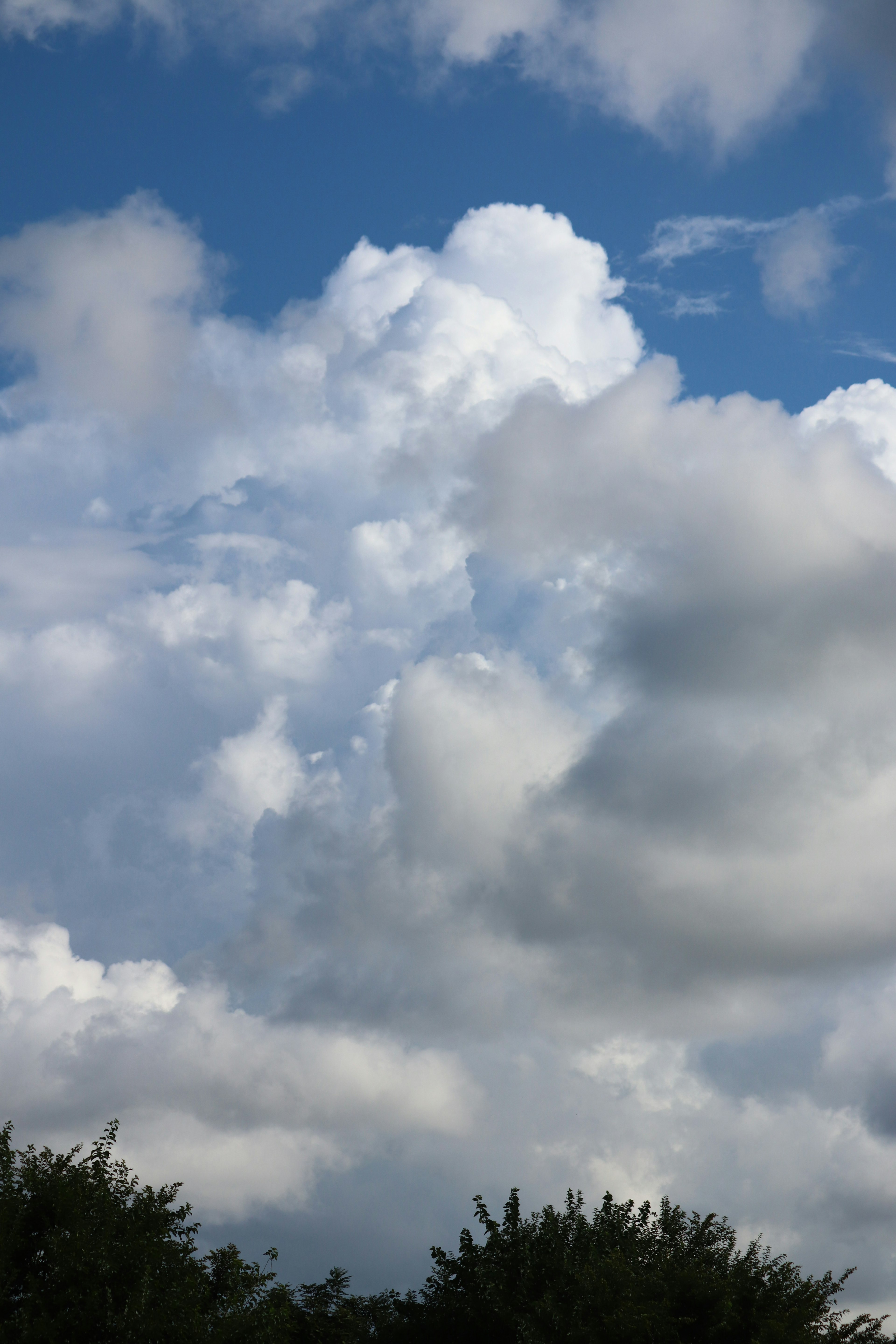 White clouds in a blue sky with green trees at the bottom