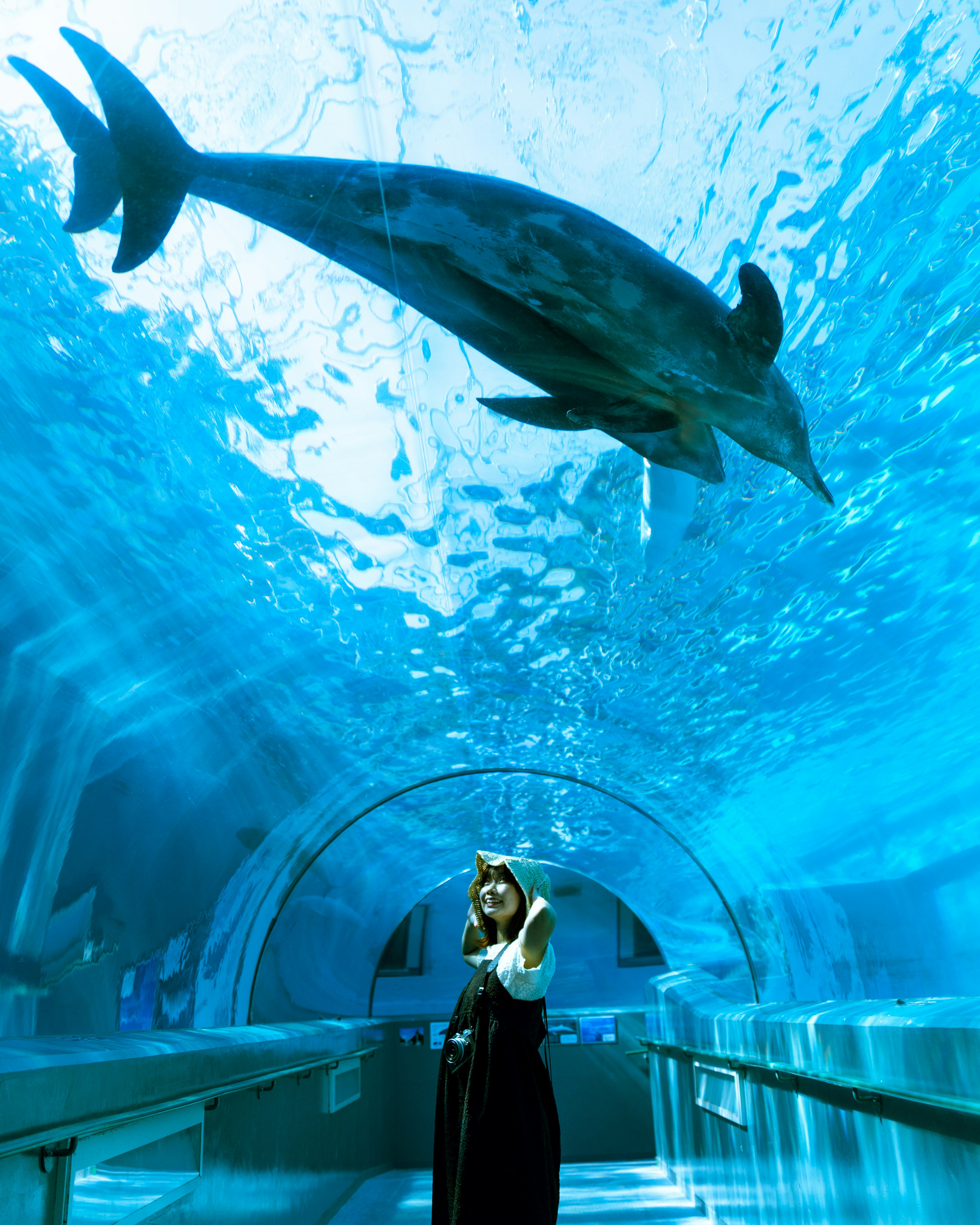 A dolphin swimming above a woman in an aquarium