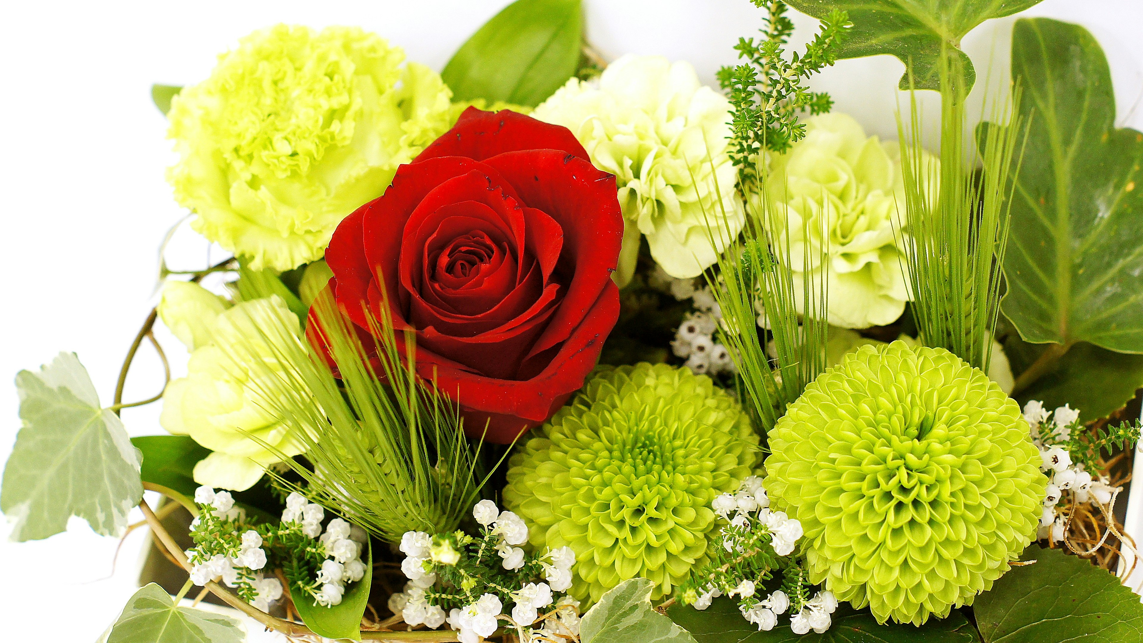 Bouquet featuring a red rose and green chrysanthemums