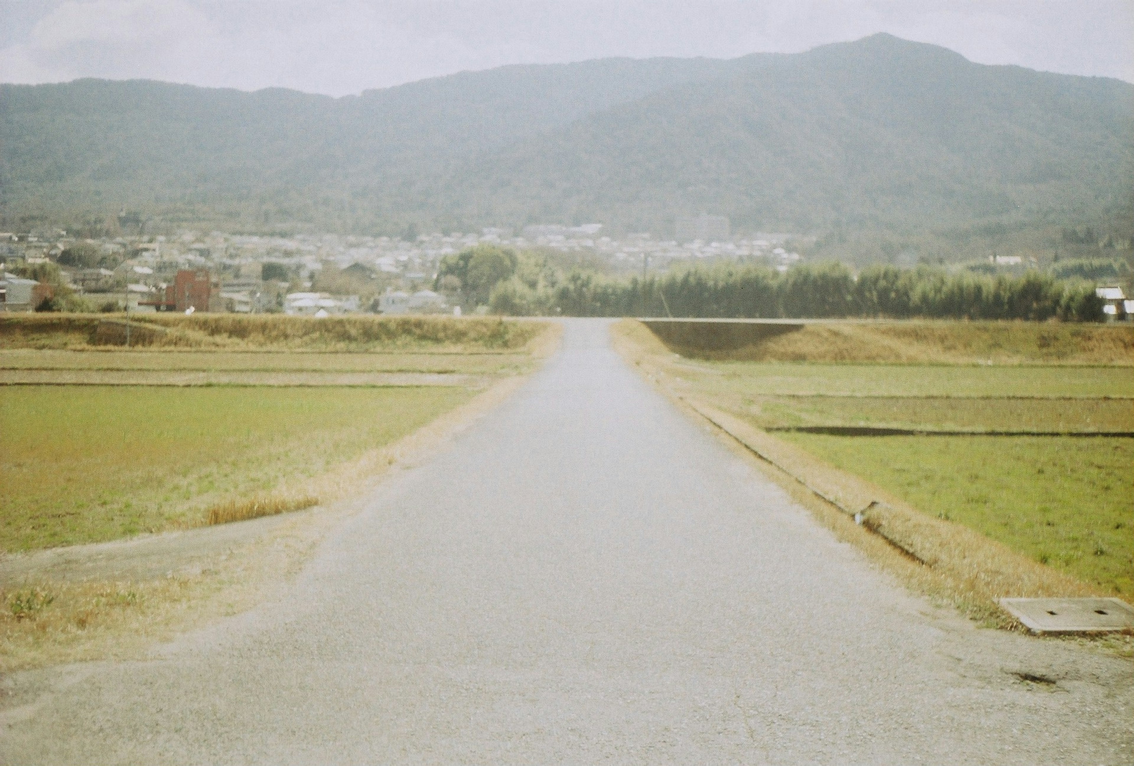 Country road leading through green fields with mountains in the background