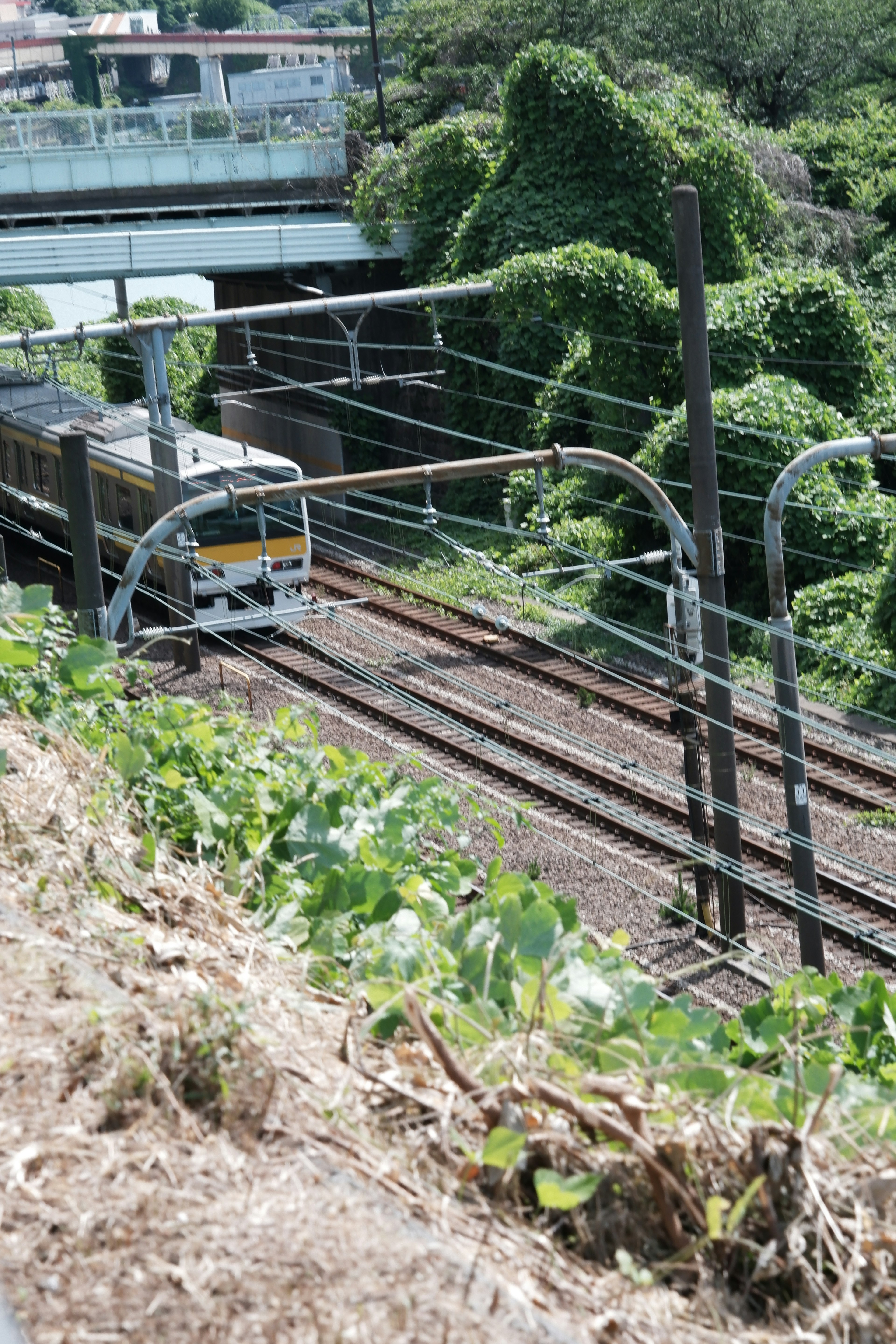 Lush scenery with visible railway tracks and a train