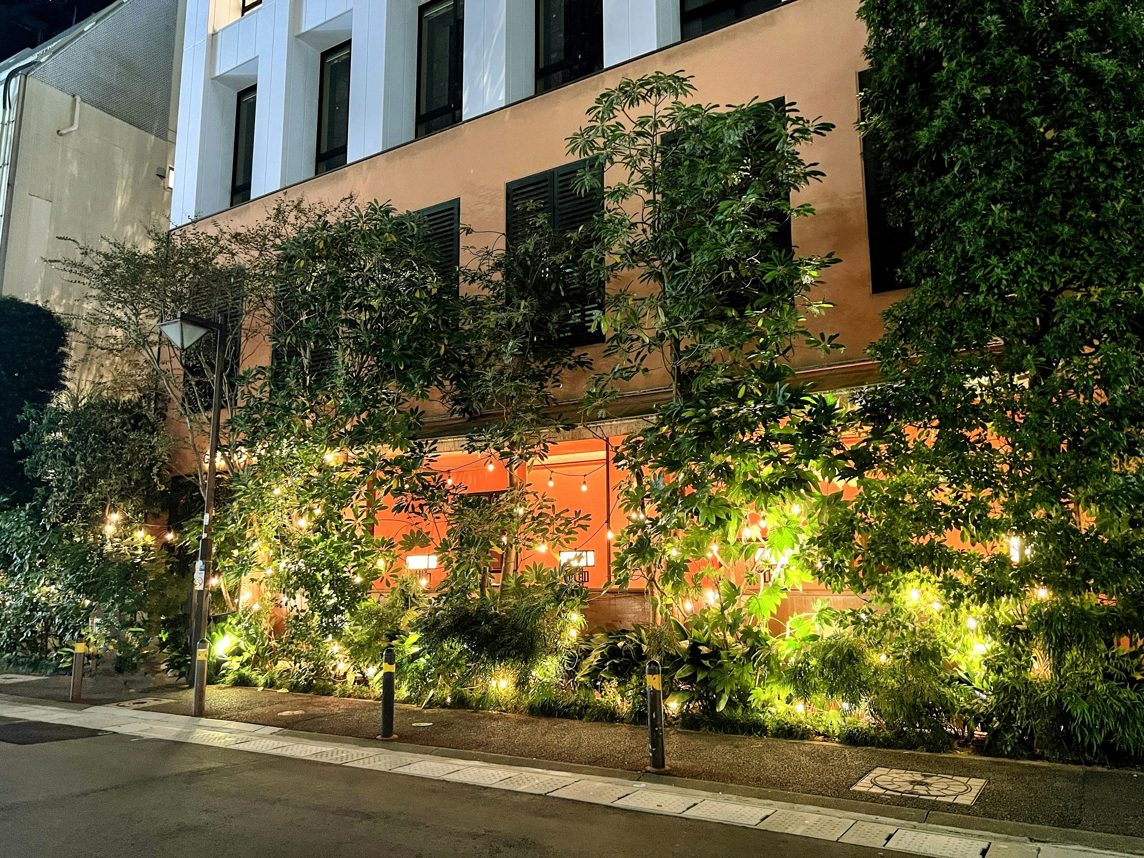 Facade of a building surrounded by greenery at night