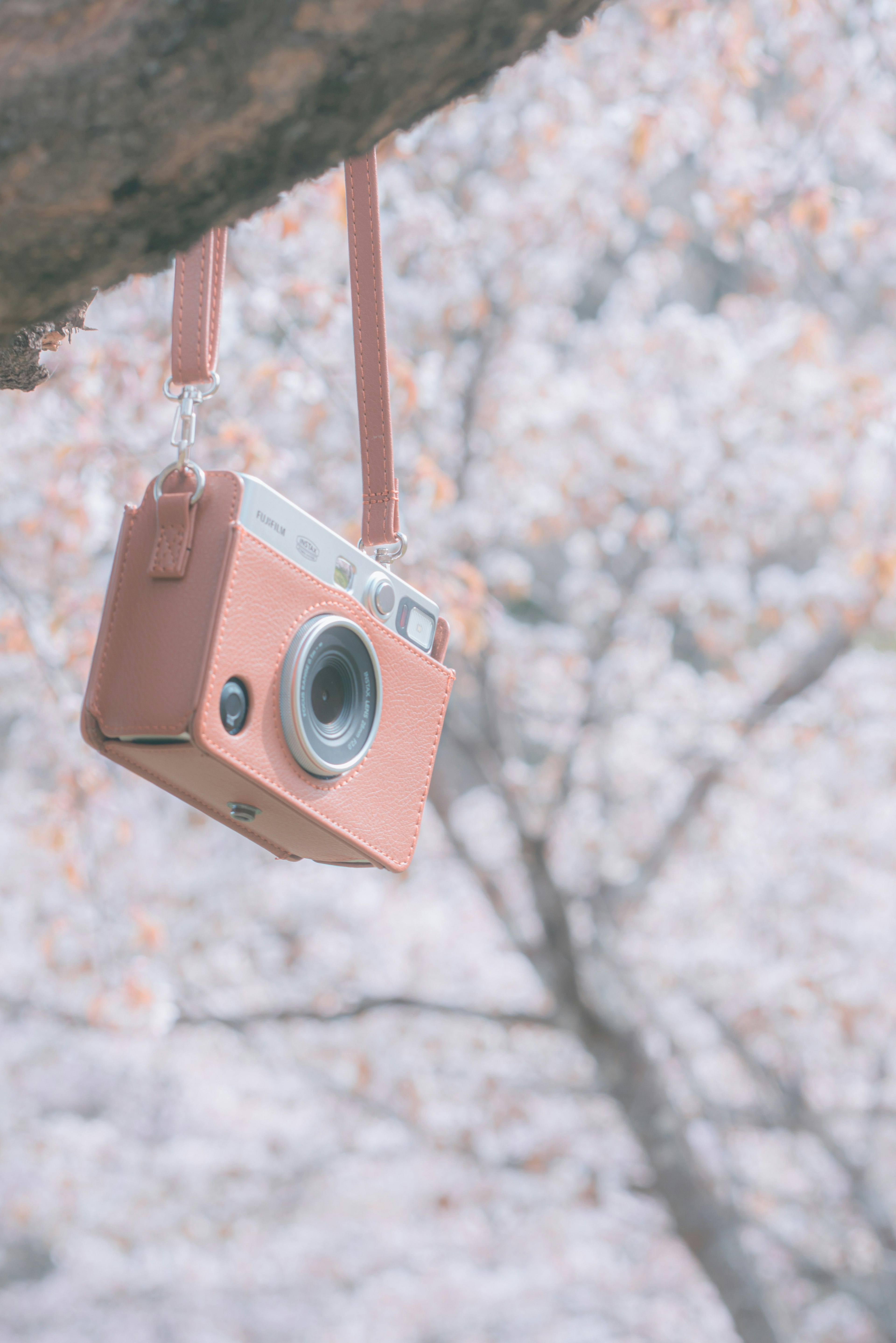 Una cámara rosa colgando de una rama de árbol en un fondo suave