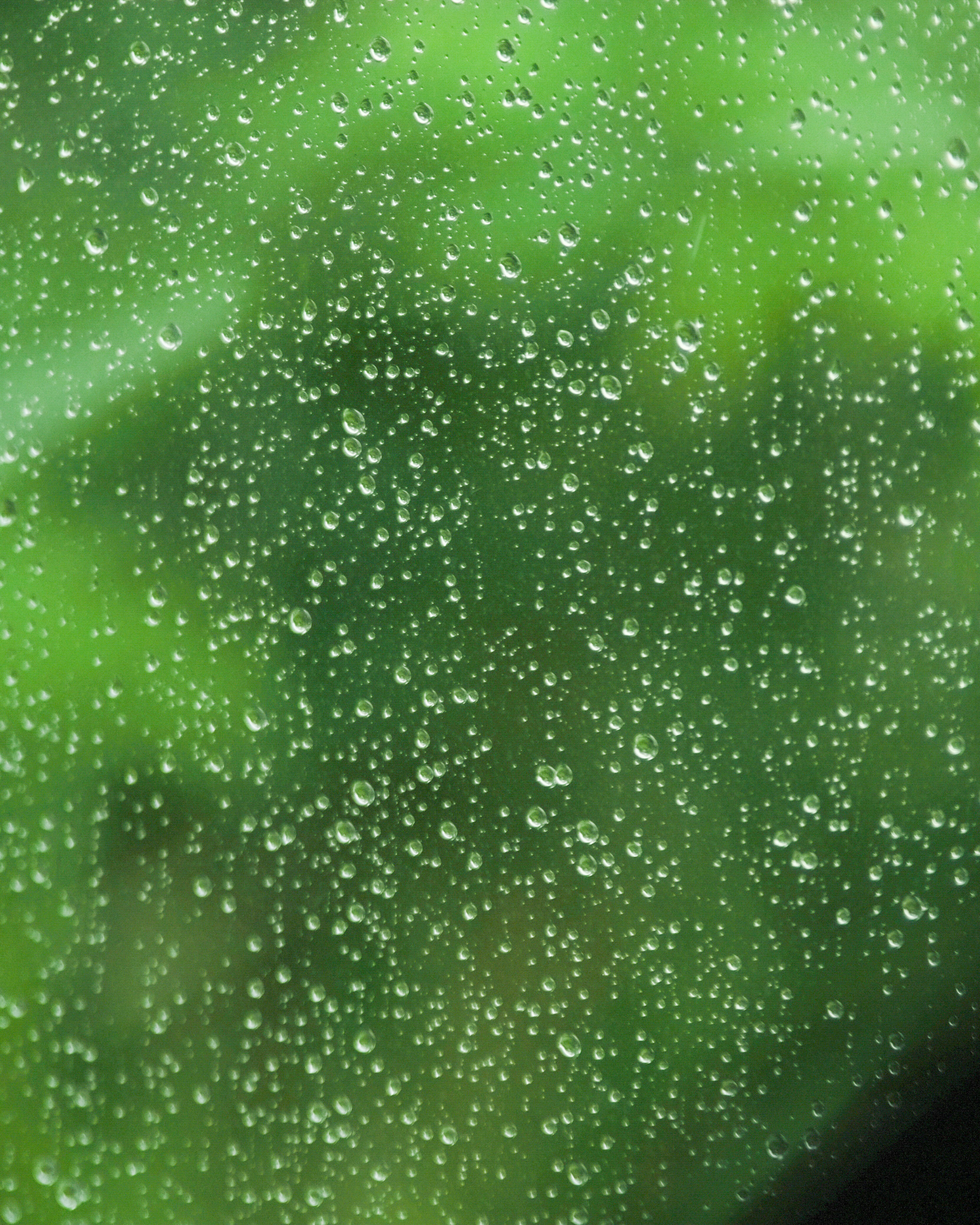 ภาพระยะใกล้ของหยดน้ำฝนบนหน้าต่างกับพื้นหลังสีเขียวเบลอ