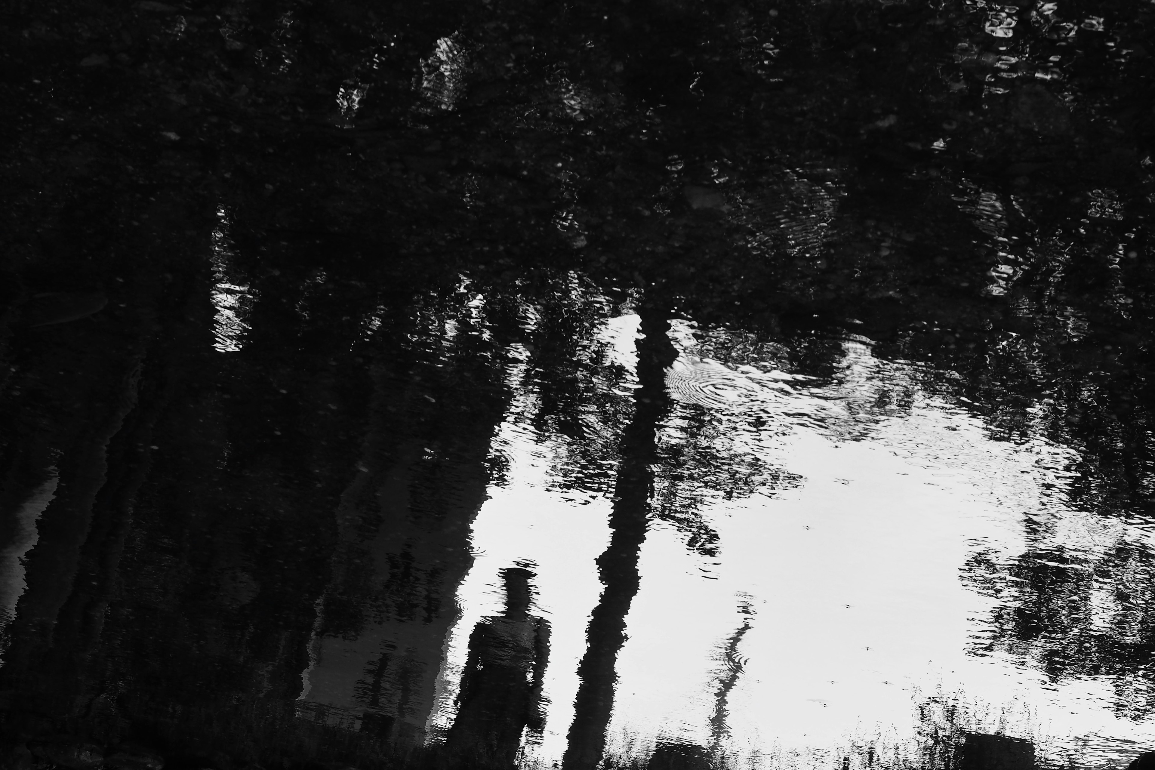 Black and white reflection of a figure and trees in the water