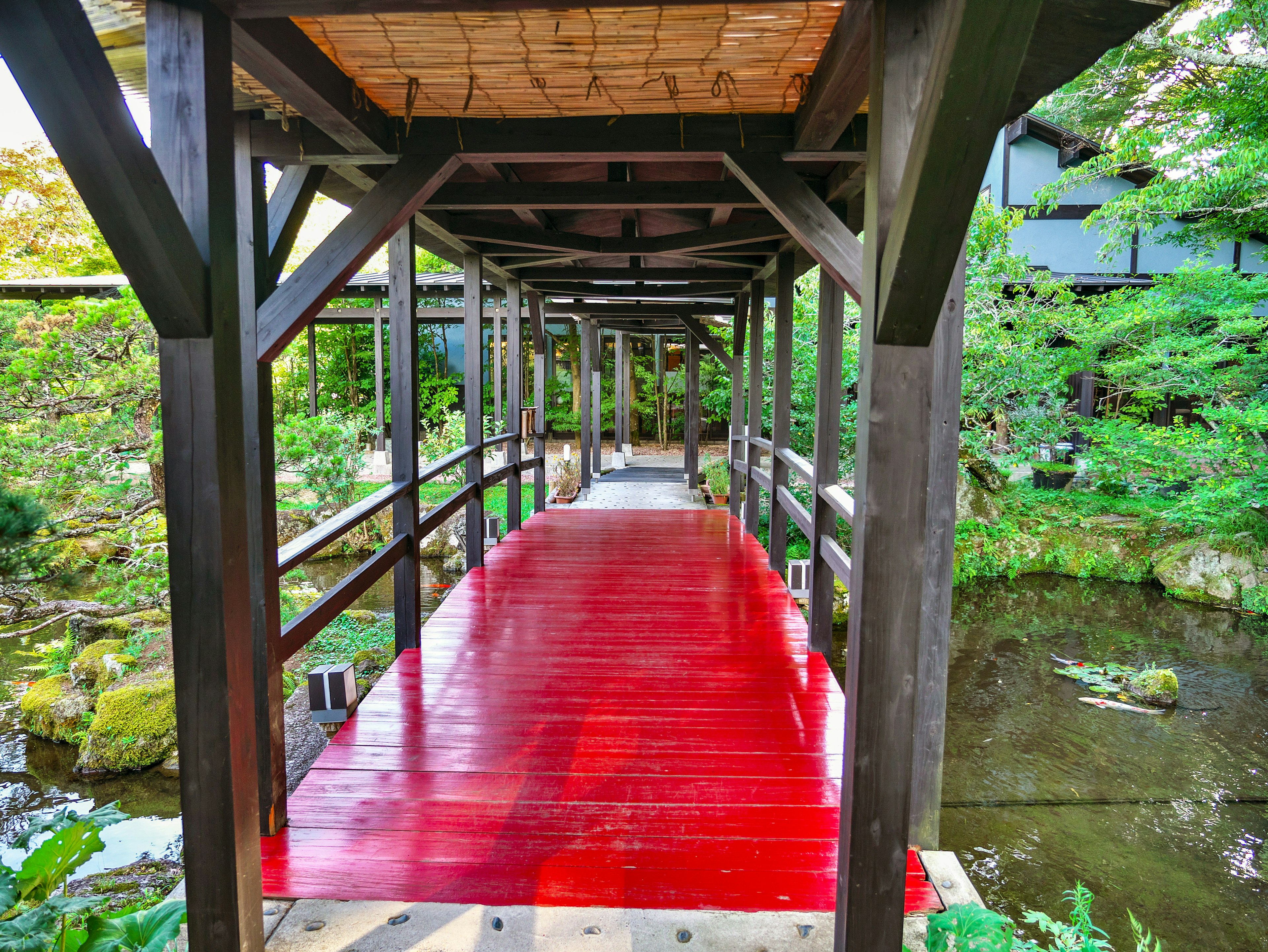 Jembatan kayu merah yang melintasi kolam dikelilingi oleh vegetasi yang subur