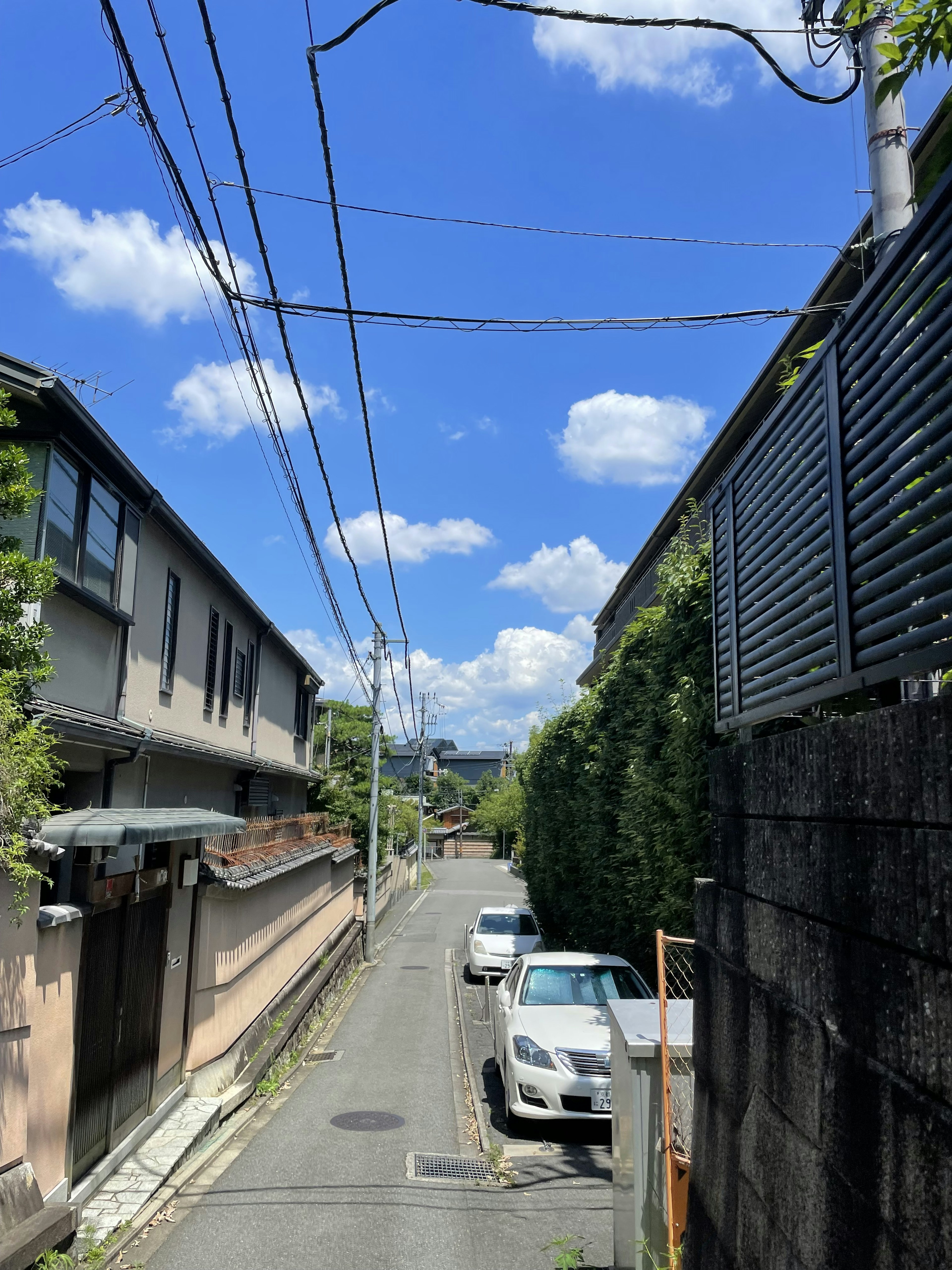 A quiet street scene with blue sky and white clouds featuring lush greenery and parked cars