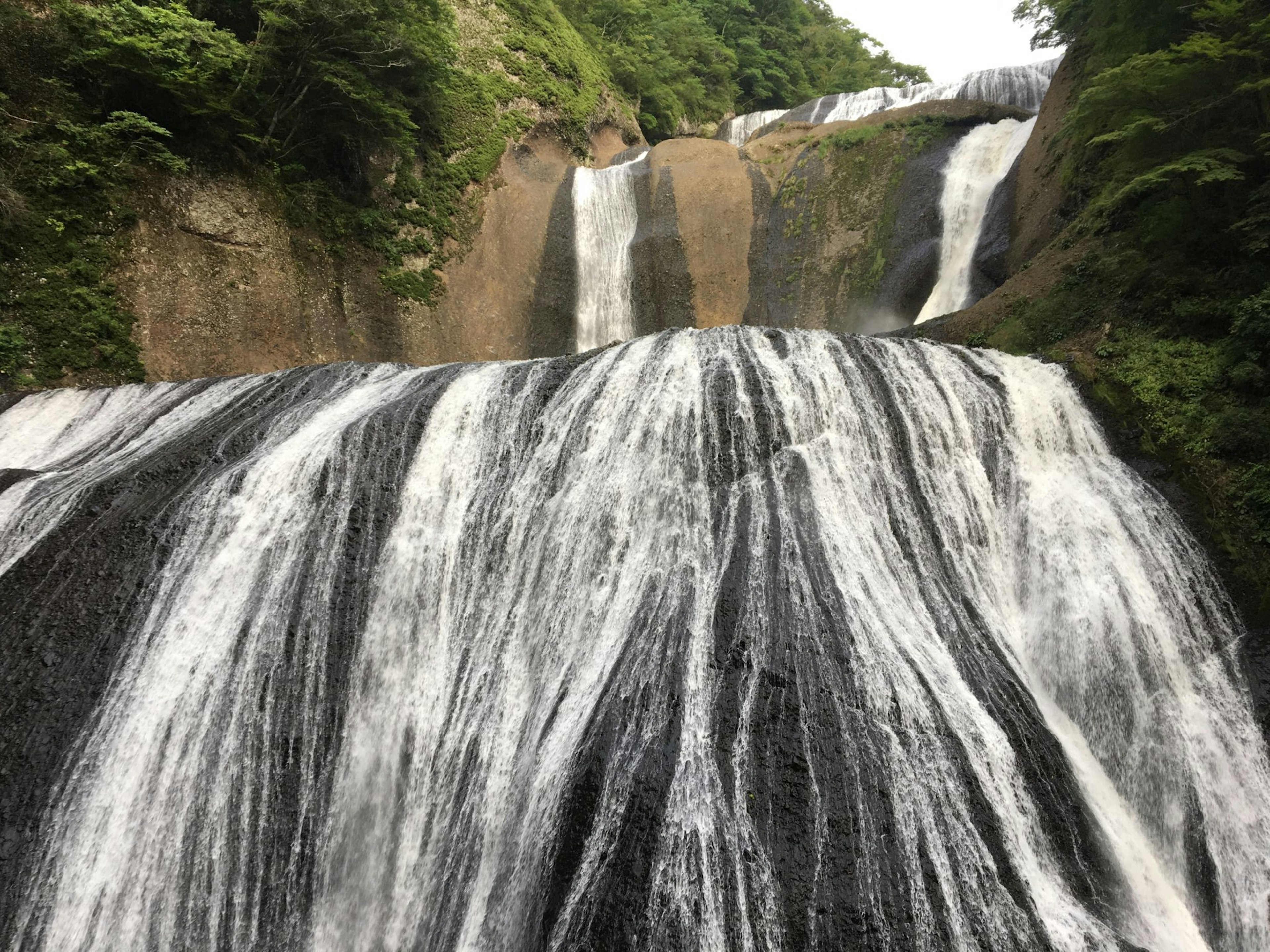 一个令人惊叹的瀑布，流动的水和郁郁葱葱的绿意