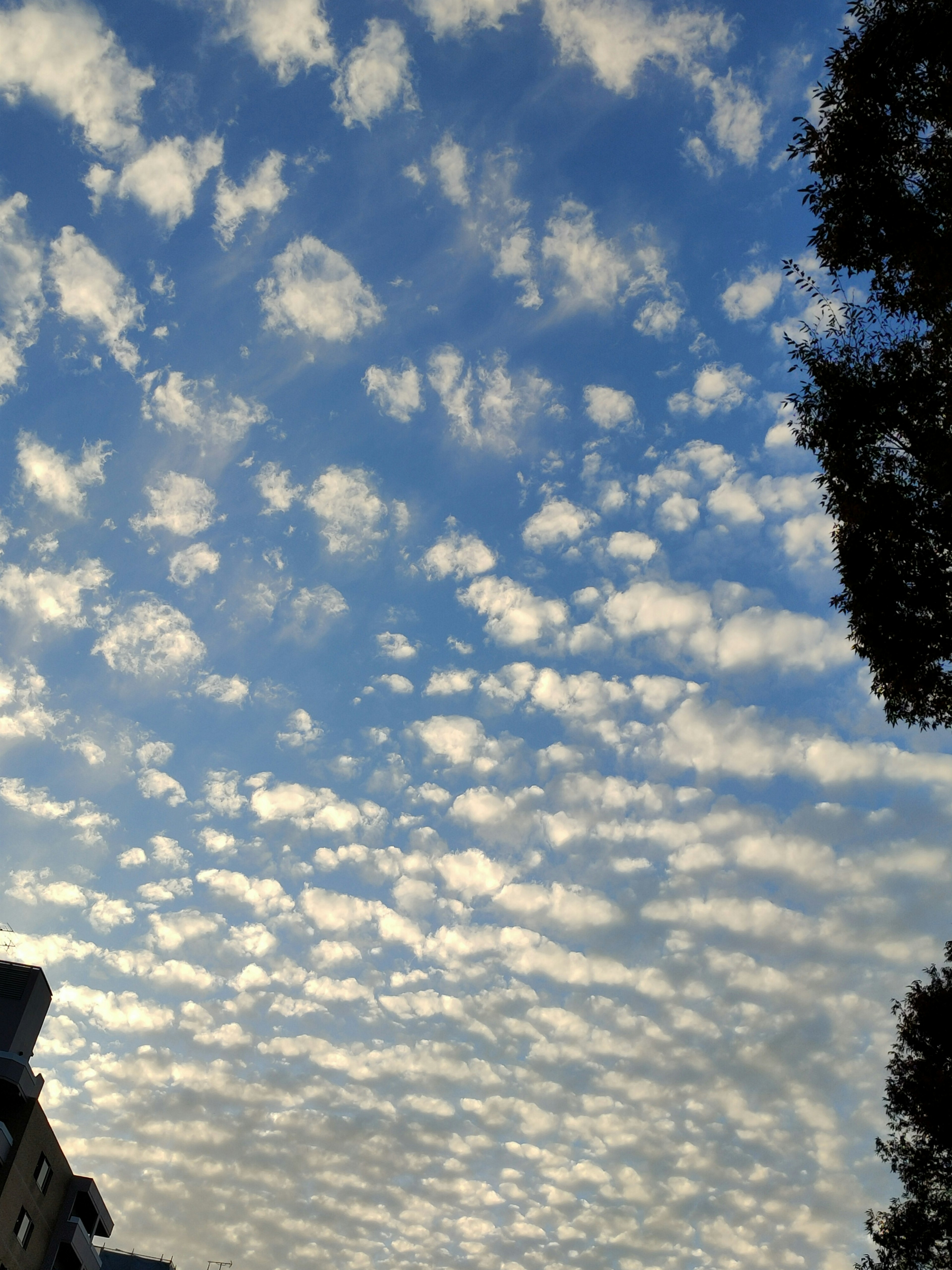 Langit biru dengan awan putih membentuk pola yang indah