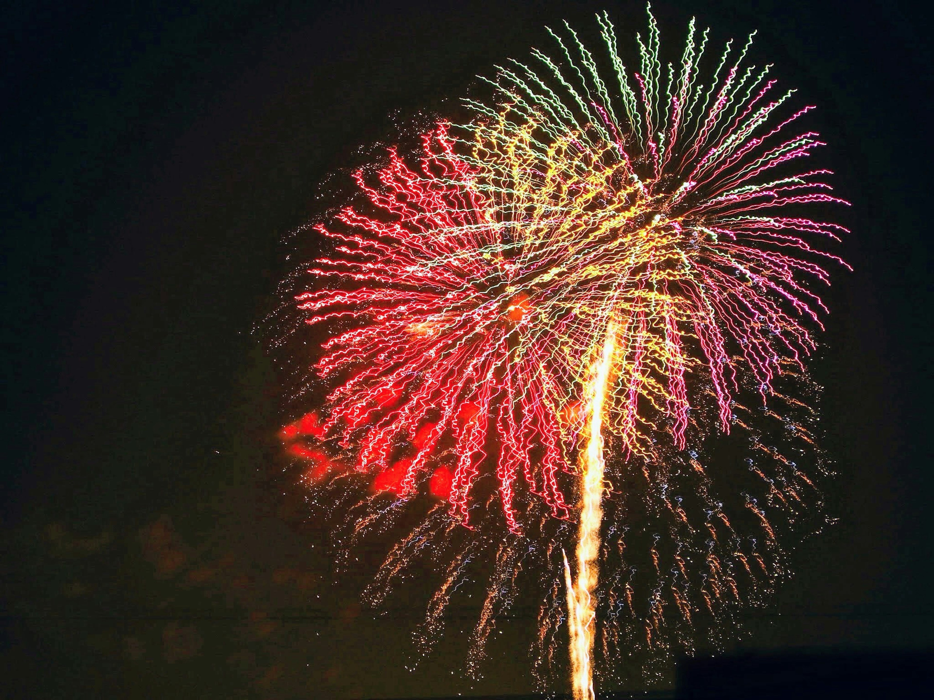 Spectacle de feux d'artifice colorés illuminant le ciel nocturne