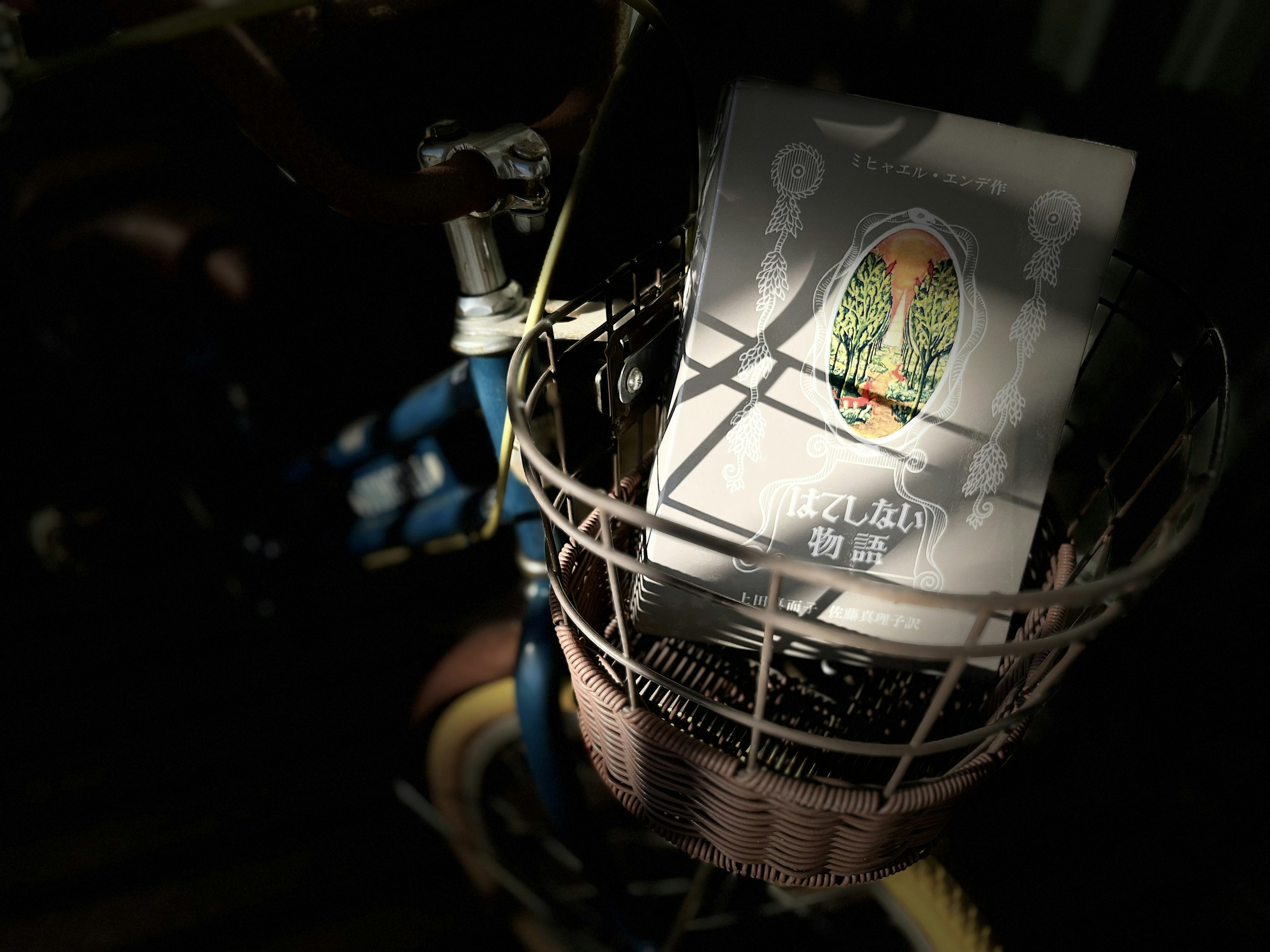 Image of a book cover placed in a bicycle basket