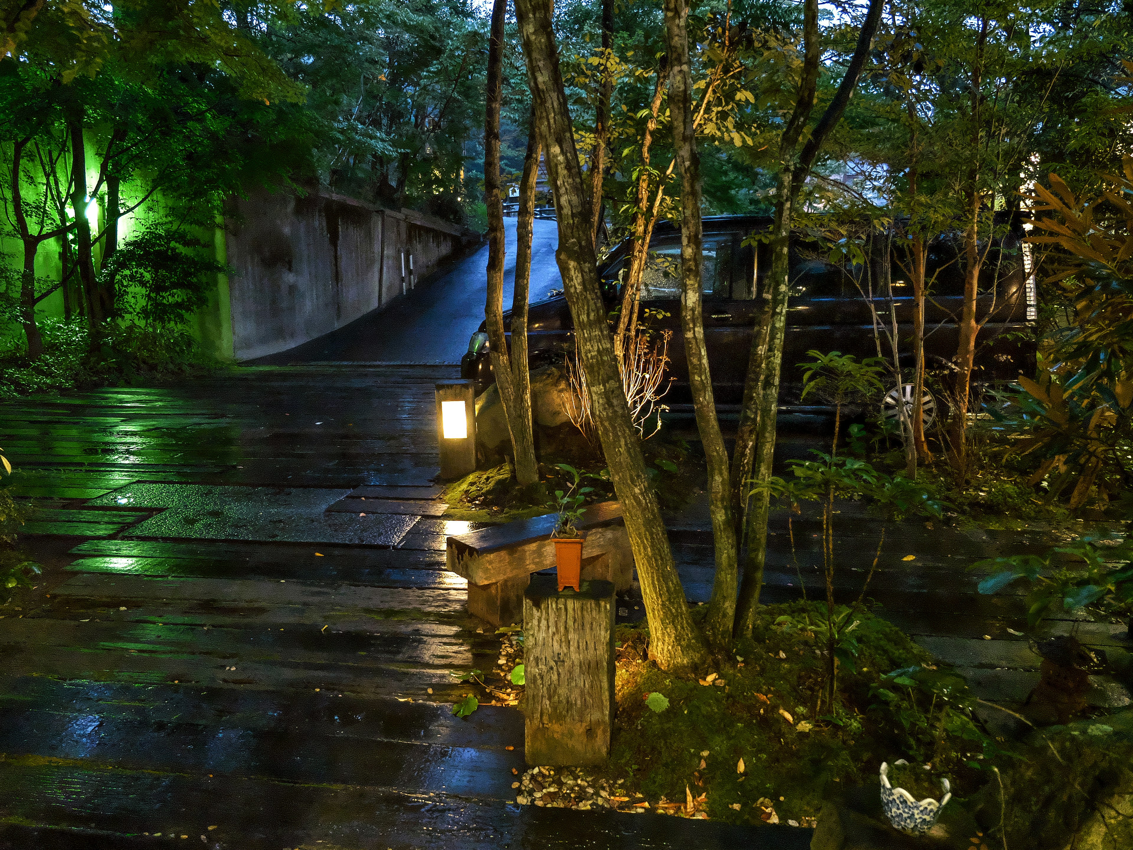 Camino empapado por la lluvia con luces verdes iluminando un paisaje forestal