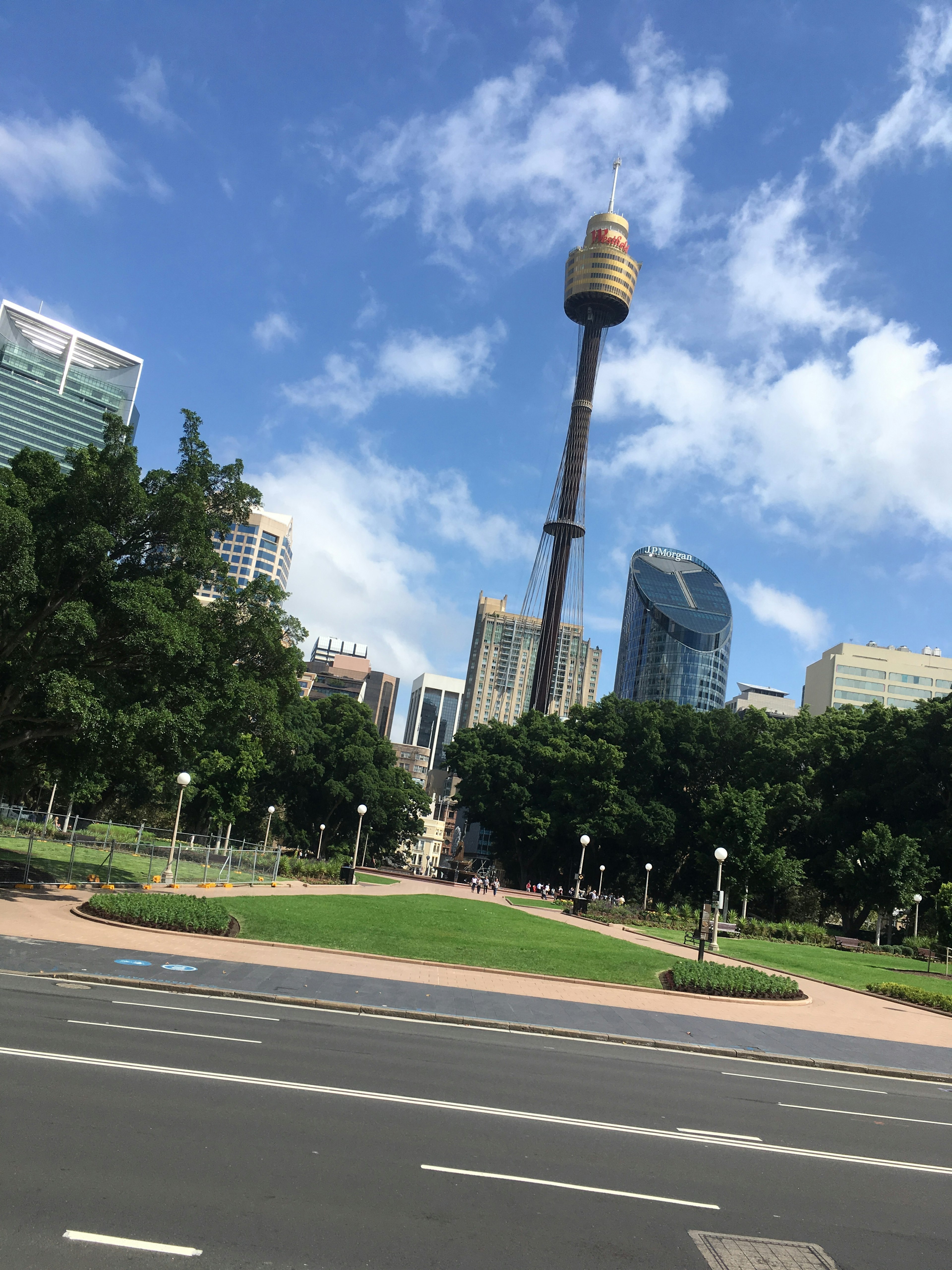 Sydney Tower with a green park and city skyline