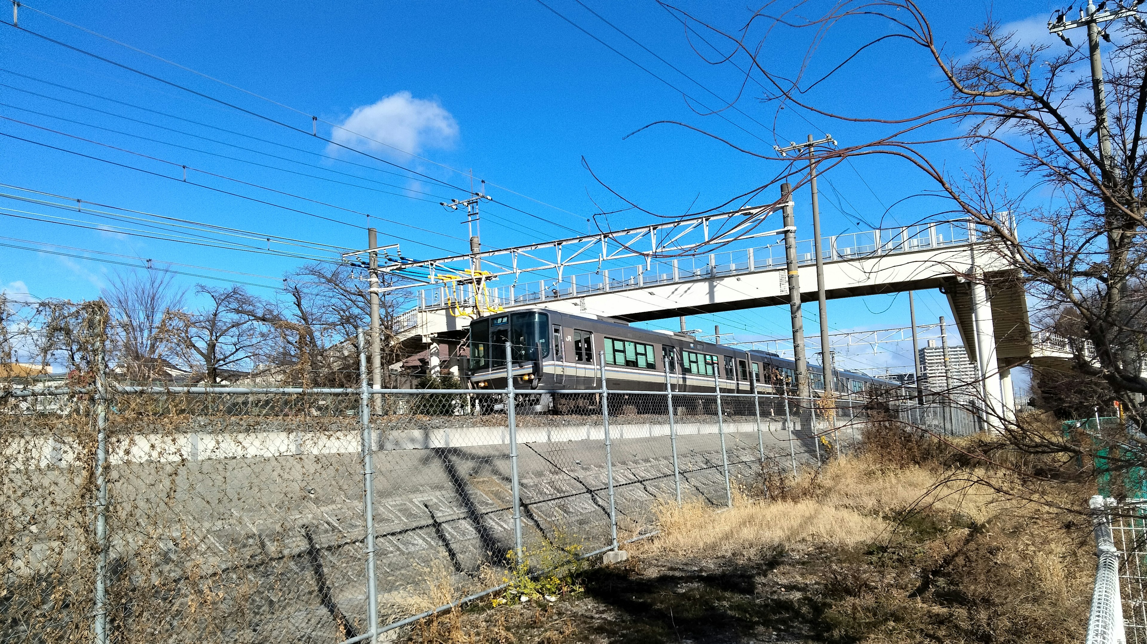 Train running under a blue sky with an overpass