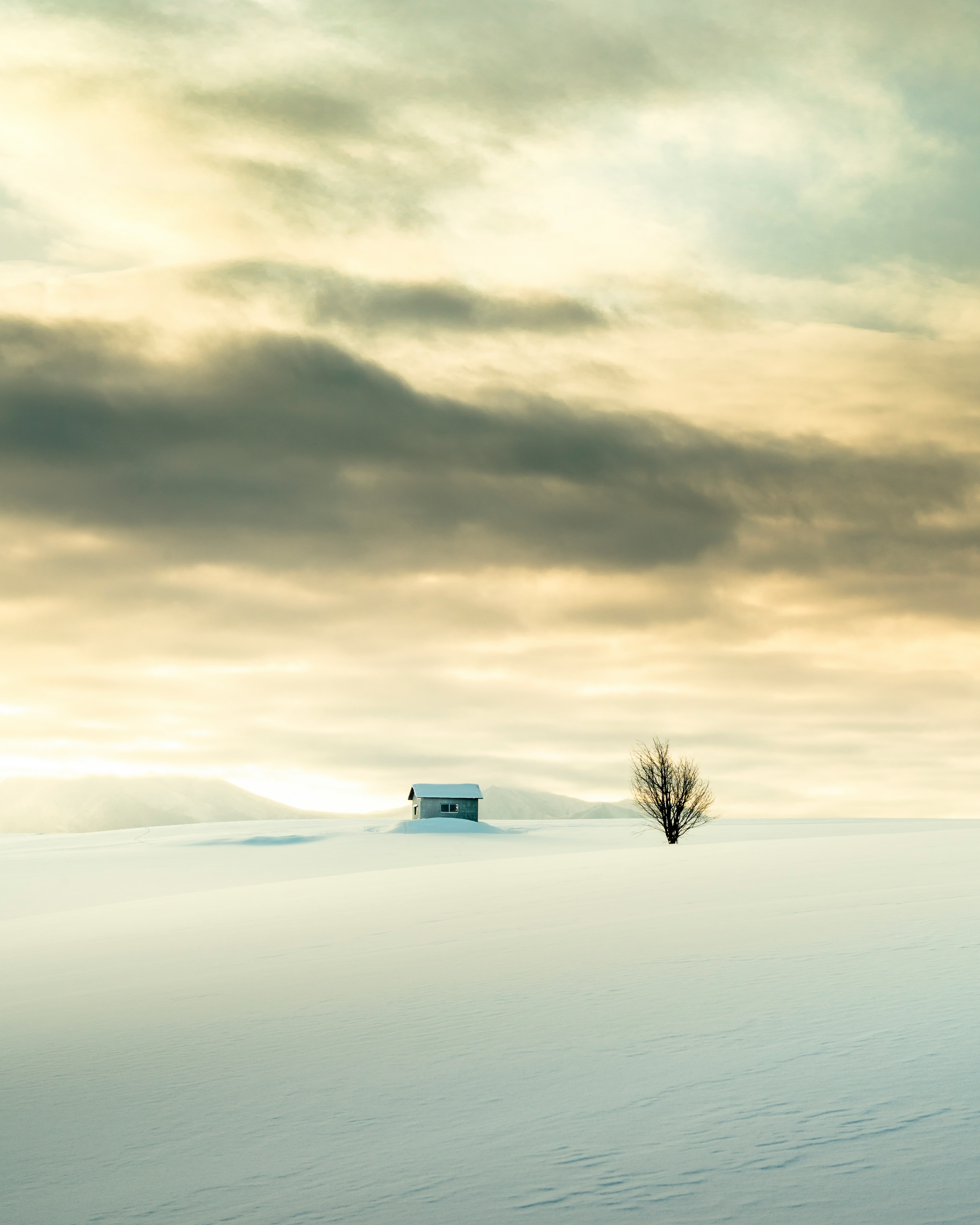 Cabane isolée et arbre dans un paysage enneigé sous un ciel nuageux