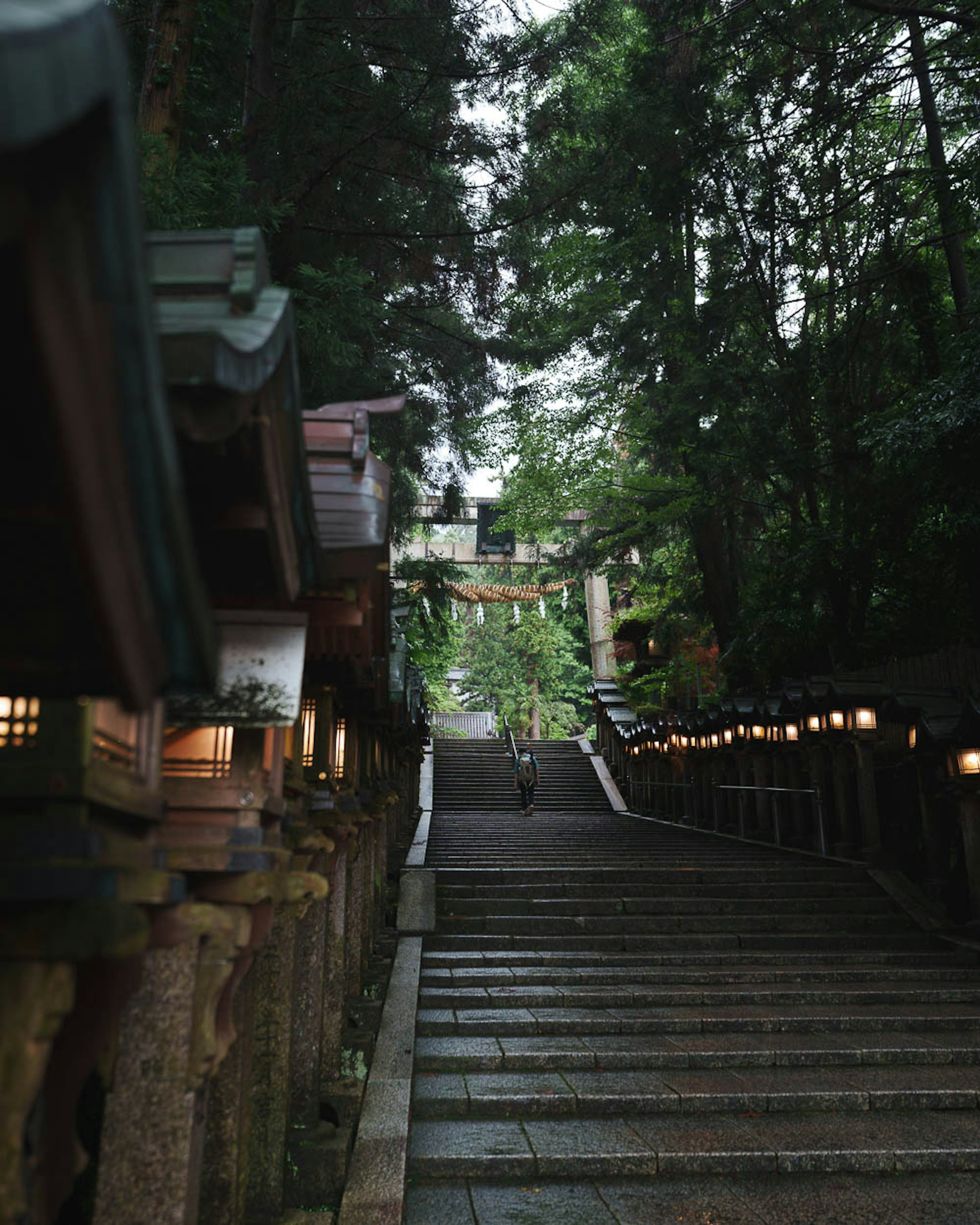 Scenic view of stone steps and lanterns at a shrine surrounded by greenery