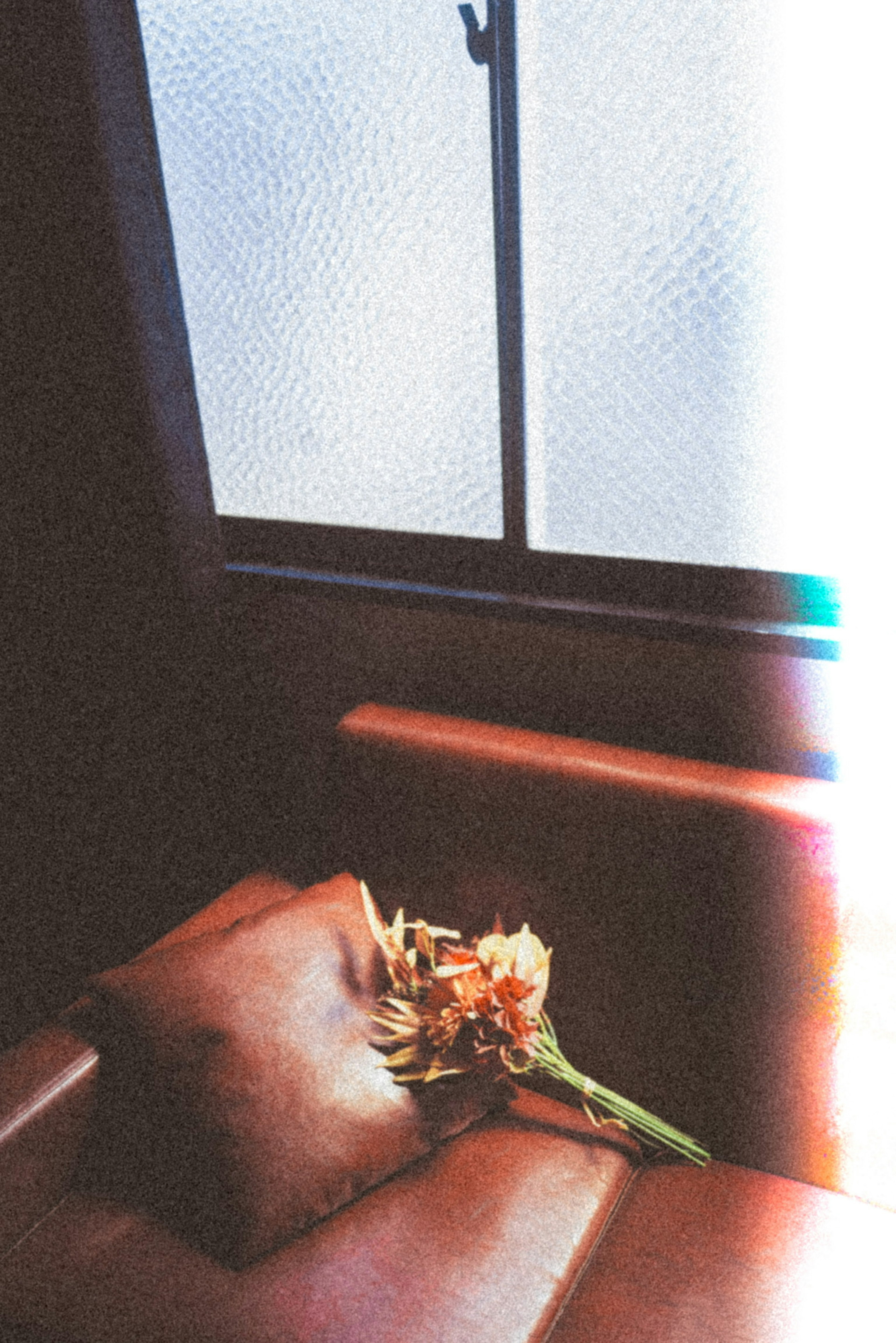 Un ramo de flores sobre un sofá cerca de una ventana con luz suave