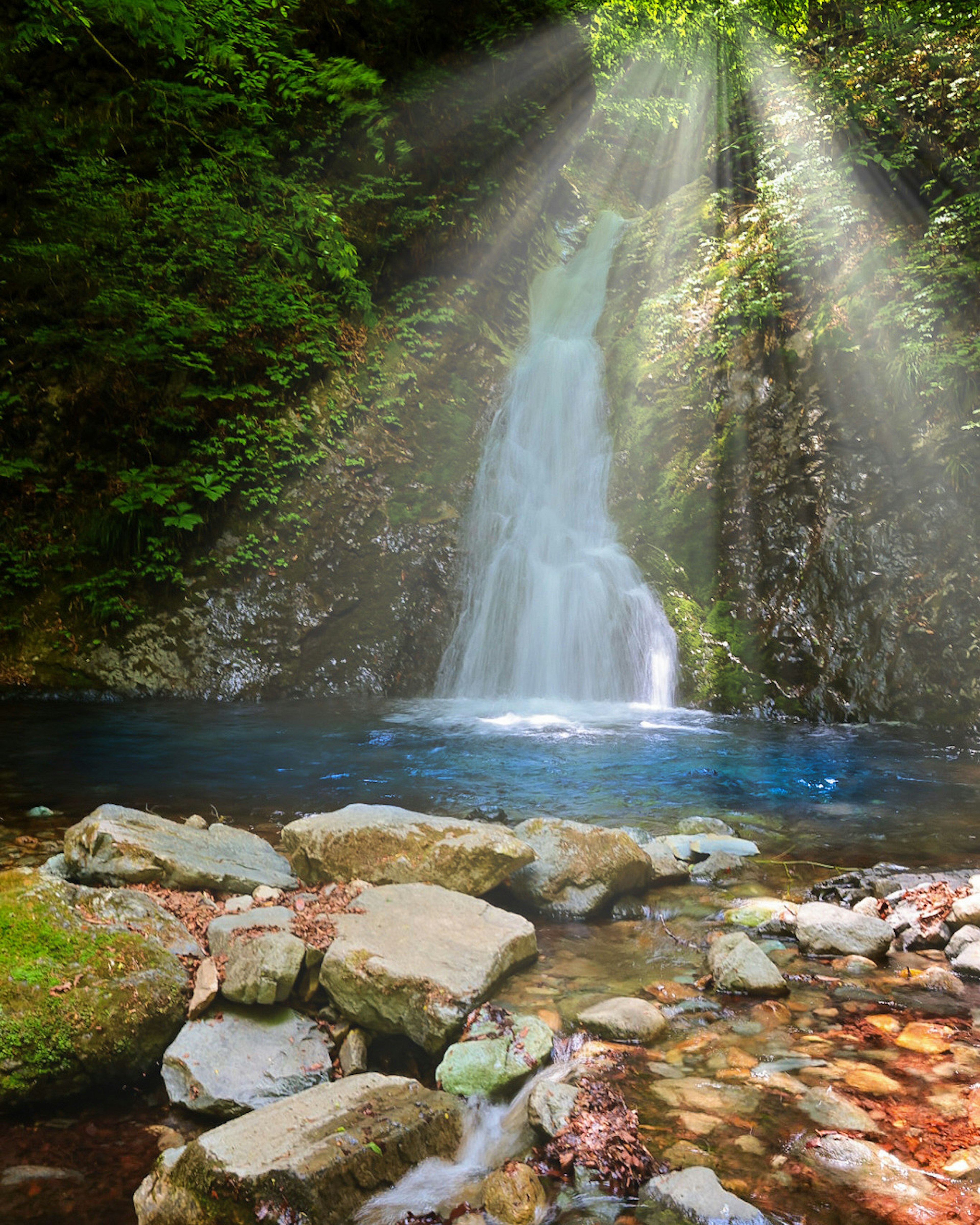 Bellissima cascata circondata da una vegetazione lussureggiante e una piscina d'acqua cristallina