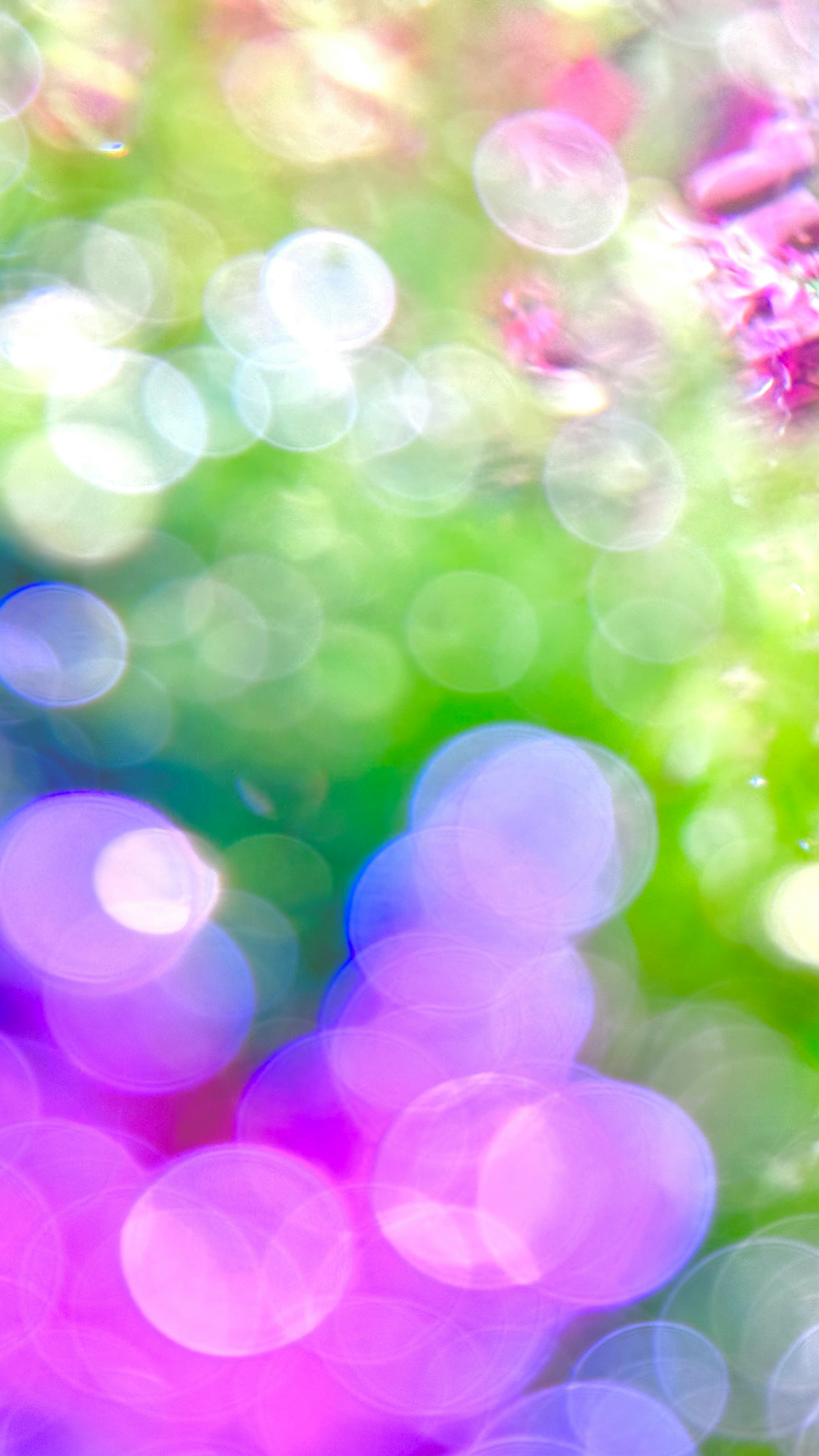 Abstract background with colorful bokeh and light spots