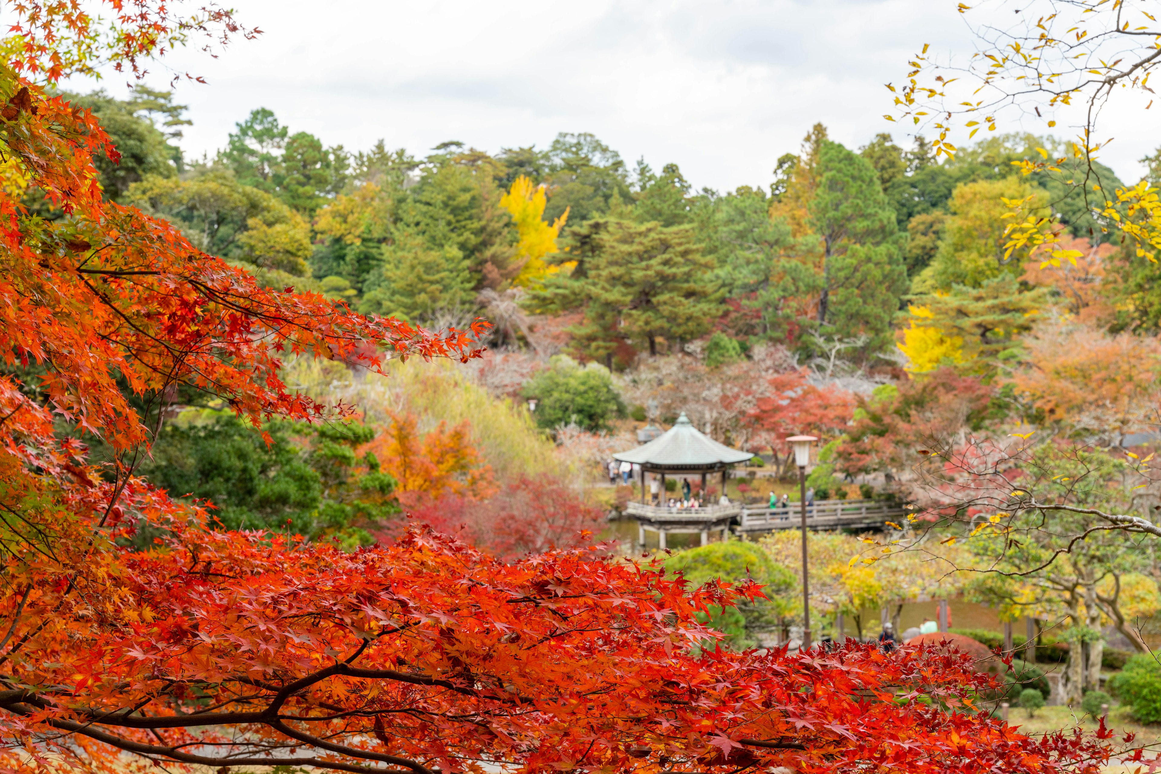 紅葉が美しい公園の風景にある小さなパビリオン