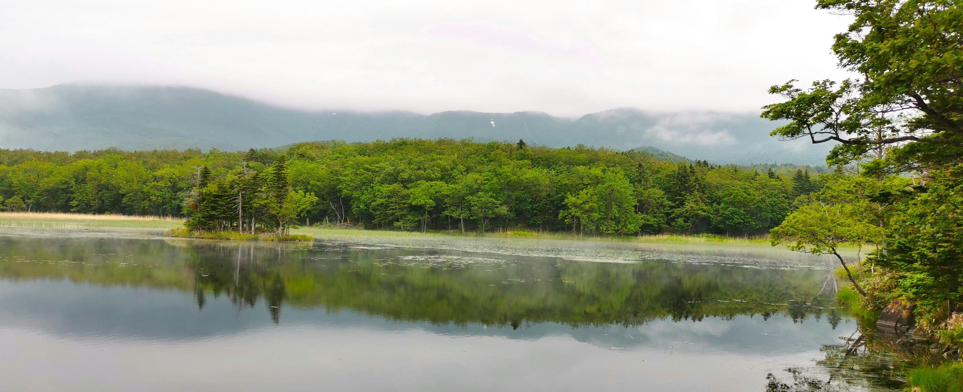 Ruhiger See umgeben von üppigem grünem Wald