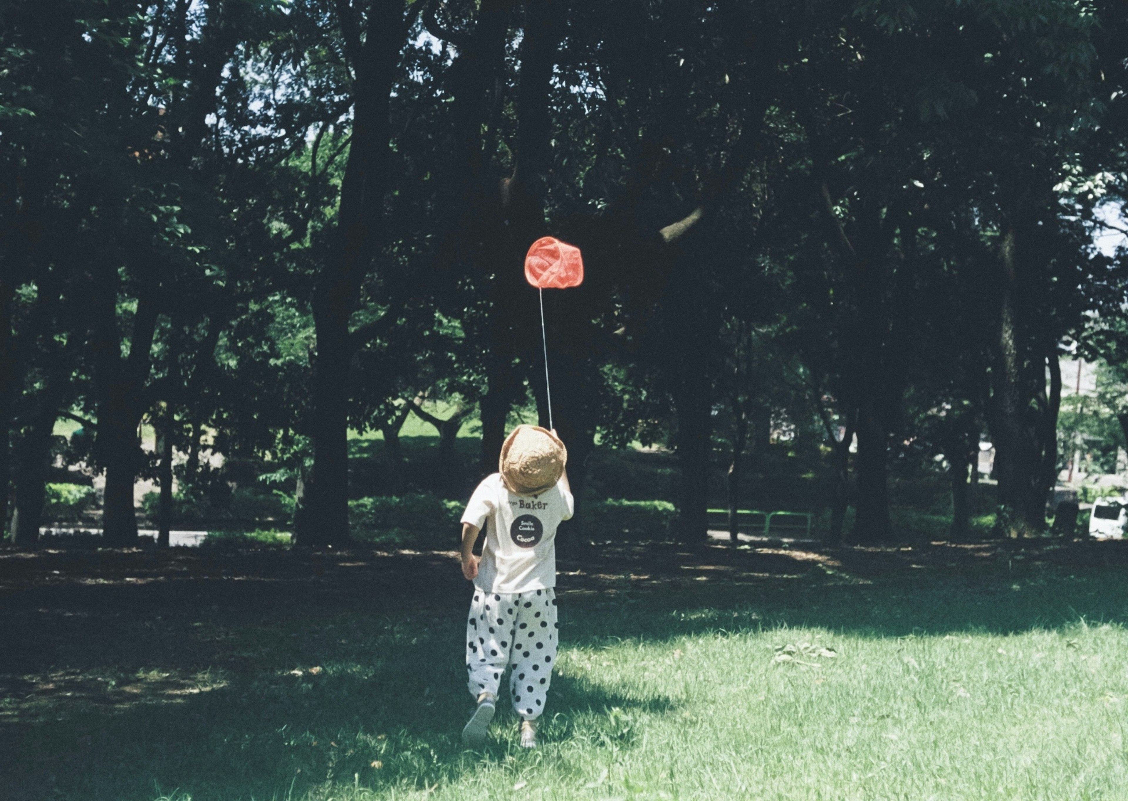 Child holding a red flag in a park