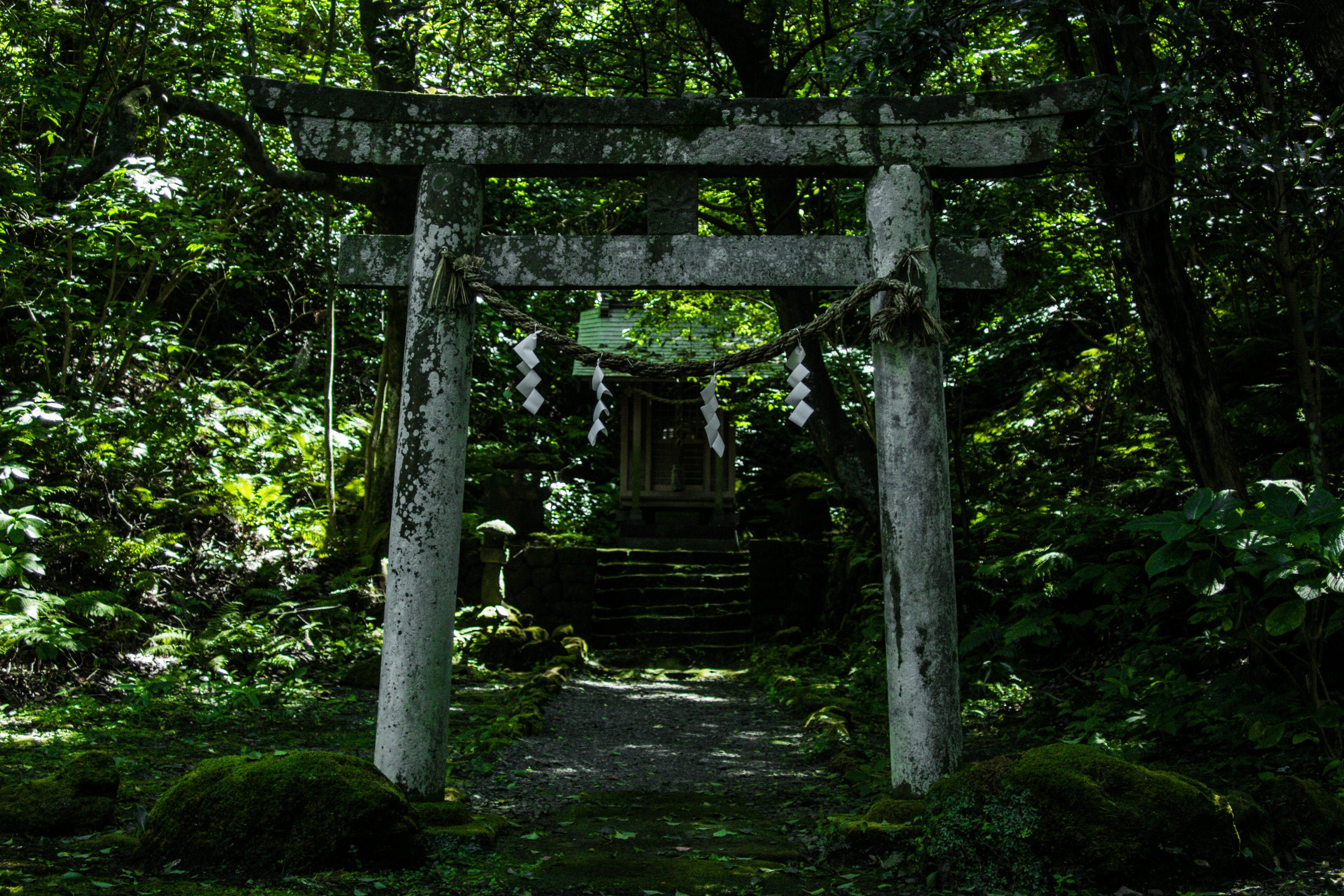 Ancien torii entouré de verdure luxuriante et d'escaliers en pierre