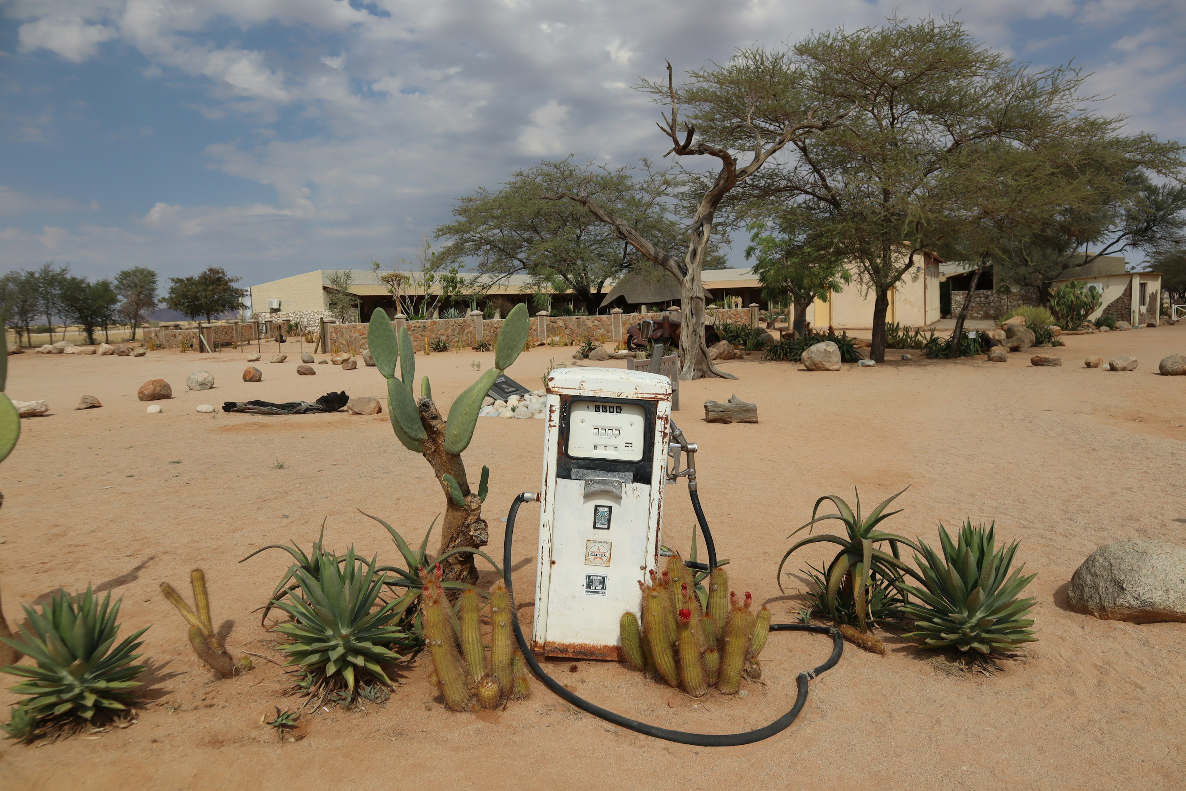 An old gas station in the desert surrounded by cacti